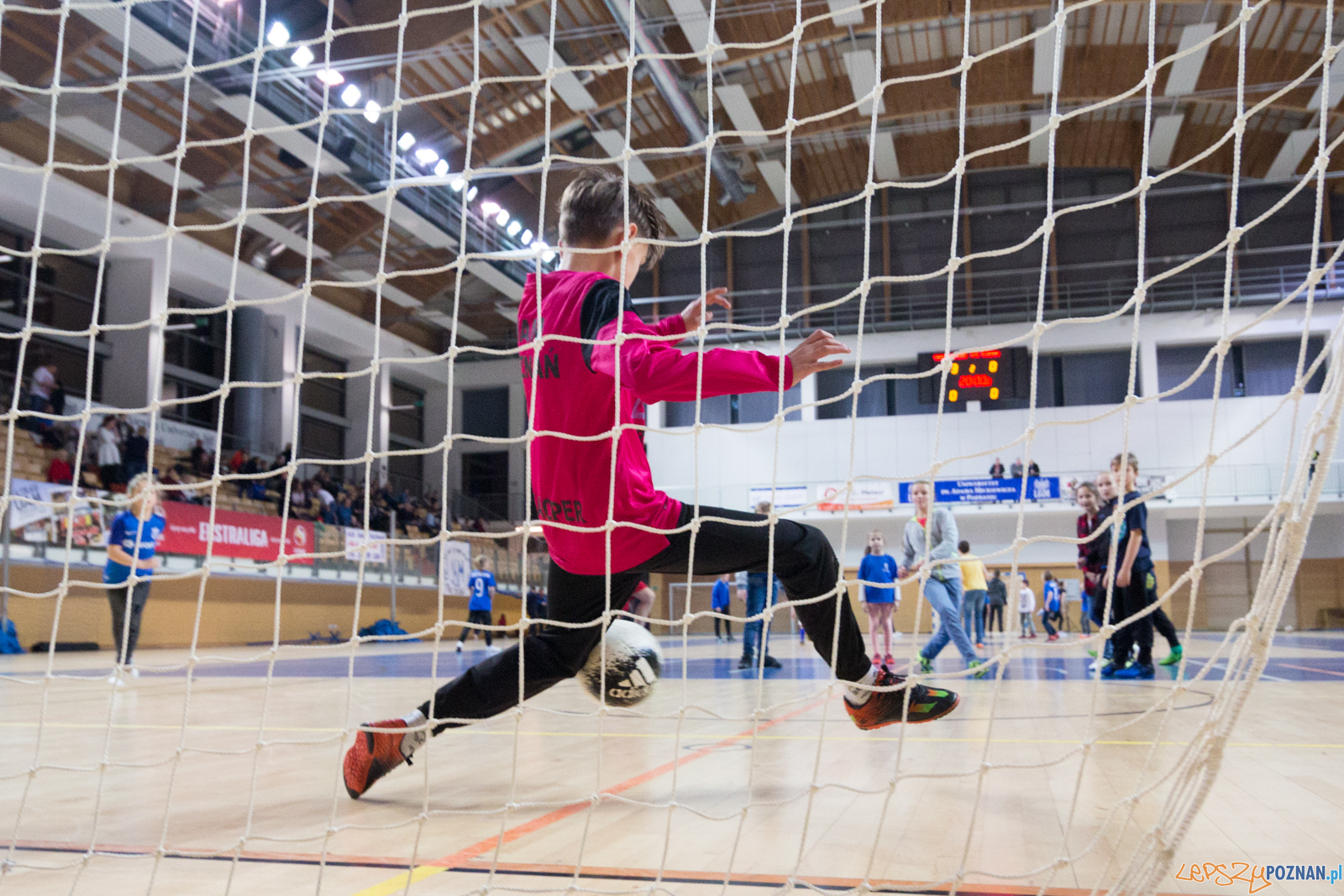 AZS UAM Poznań - Kotwica Kórnik Foto: lepszyPOZNAN.pl/Piotr Rychter AZS UAM Poznań - Kotwica Kórnik Foto: lepszyPOZNAN.pl/Piotr Rychter