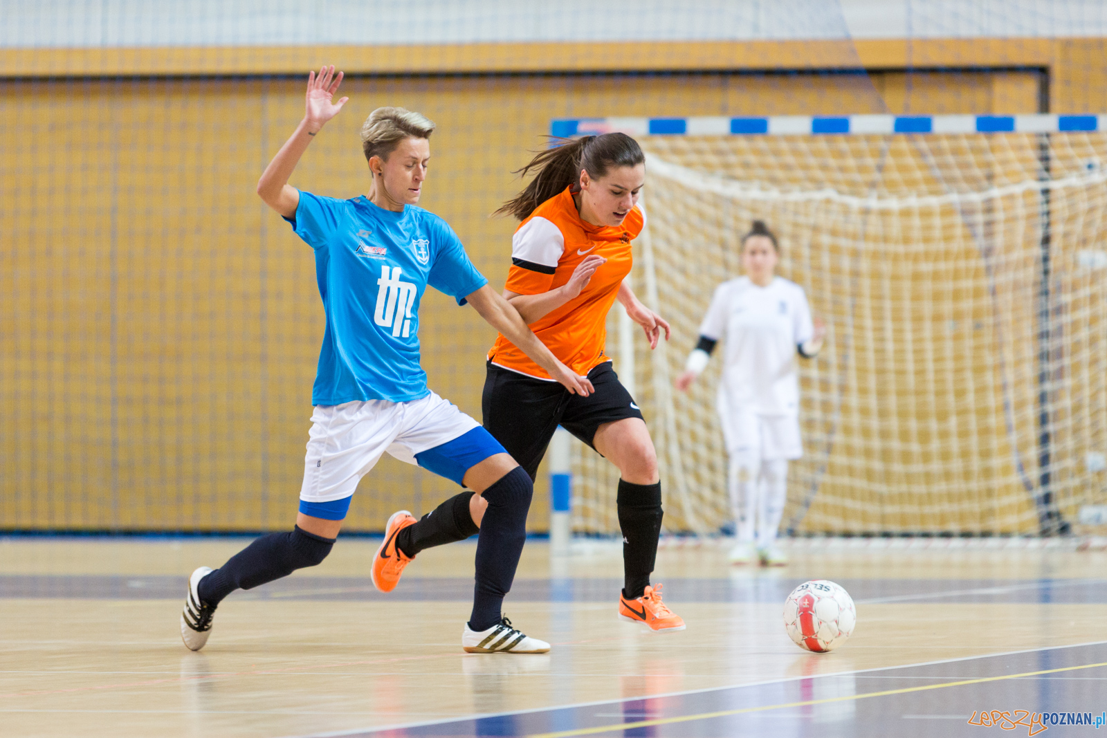 AZS UAM Poznań - Kotwica Kórnik Foto: lepszyPOZNAN.pl/Piotr Rychter AZS UAM Poznań - Kotwica Kórnik Foto: lepszyPOZNAN.pl/Piotr Rychter