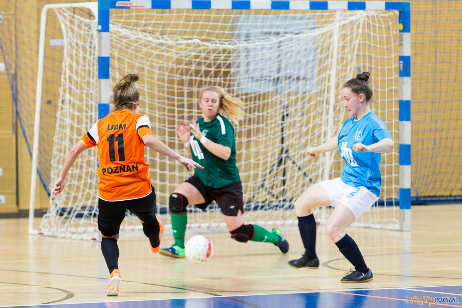AZS UAM Poznań - Kotwica Kórnik Foto: lepszyPOZNAN.pl/Piotr Rychter AZS UAM Poznań - Kotwica Kórnik Foto: lepszyPOZNAN.pl/Piotr Rychter