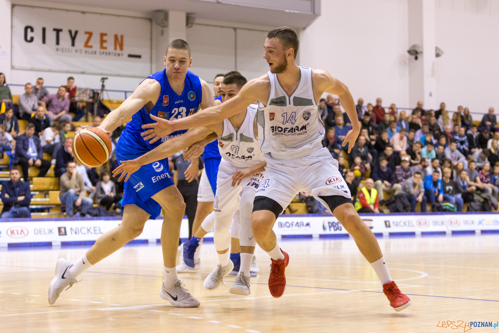 Biofarm Basket Poznań - Energa Kotwica Kołobrzeg Foto: lepszyPOZNAN.pl/Piotr Rychter Biofarm Basket Poznań - Energa Kotwica Kołobrzeg Foto: lepszyPOZNAN.pl/Piotr Rychter