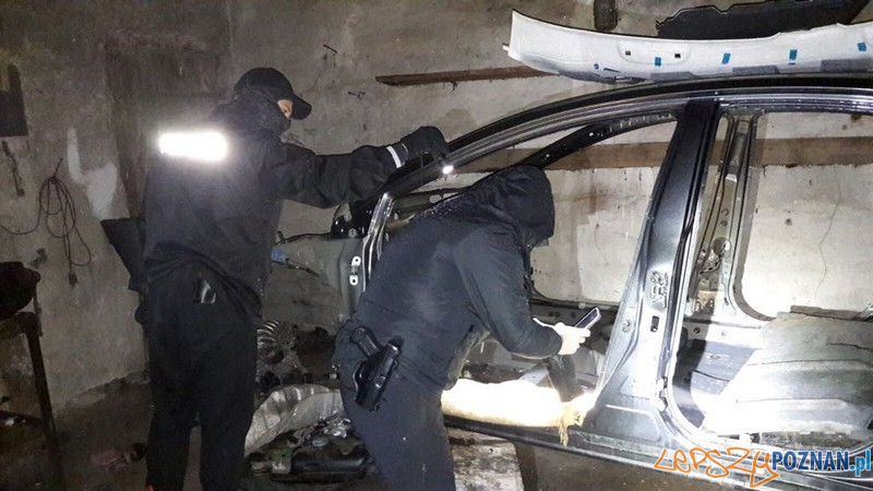 Policjanci zlikwidowali dziuplę Foto: KMP Poznań Policjanci zlikwidowali dziuplę Foto: KMP Poznań