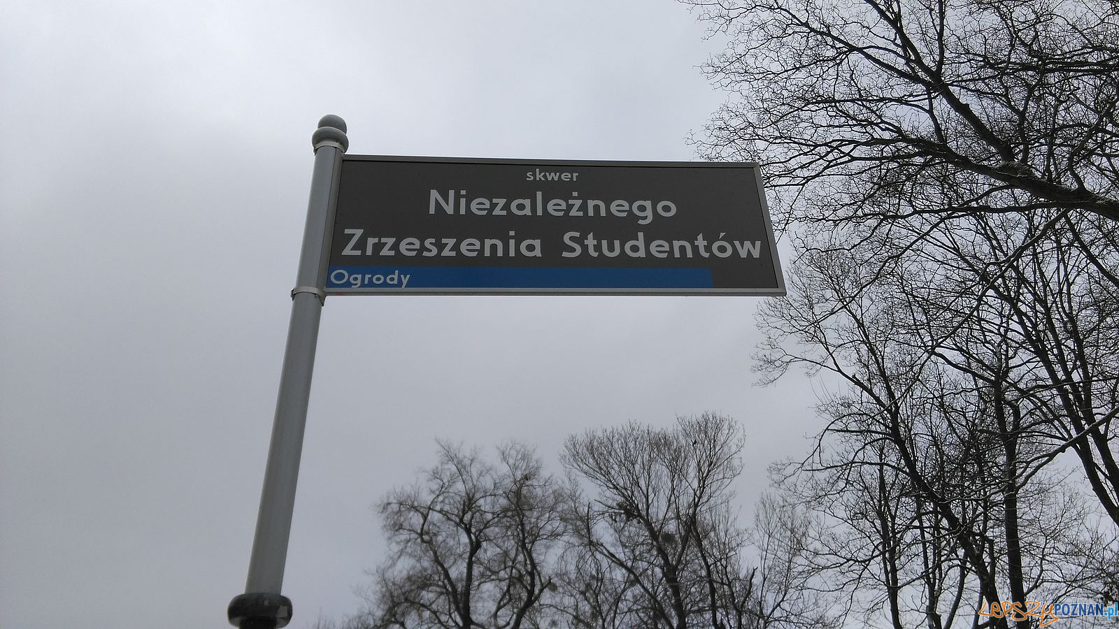 Nowe tablice do wymiany - przez błąd Foto: Rada Osiedla Stare Miasto / Tomasz Dworek Nowe tablice do wymiany - przez błąd Foto: Rada Osiedla Stare Miasto / Tomasz Dworek