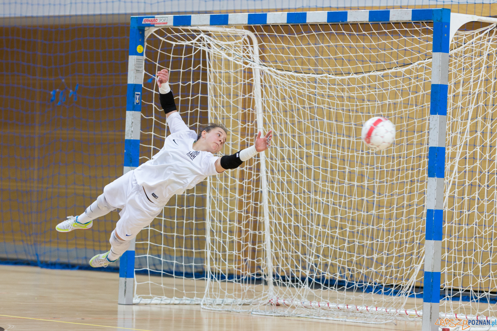 AZS UAM Poznań - Kotwica Kórnik Foto: lepszyPOZNAN.pl/Piotr Rychter AZS UAM Poznań - Kotwica Kórnik Foto: lepszyPOZNAN.pl/Piotr Rychter