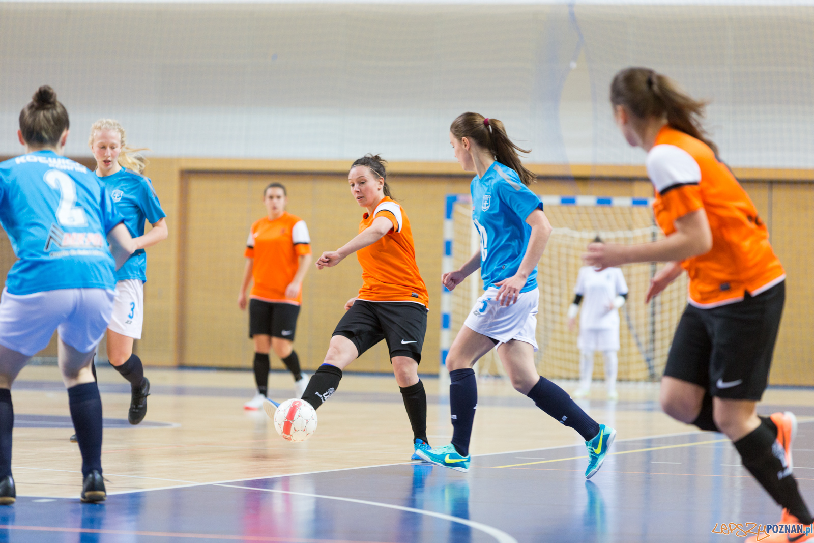 AZS UAM Poznań - Kotwica Kórnik Foto: lepszyPOZNAN.pl/Piotr Rychter AZS UAM Poznań - Kotwica Kórnik Foto: lepszyPOZNAN.pl/Piotr Rychter