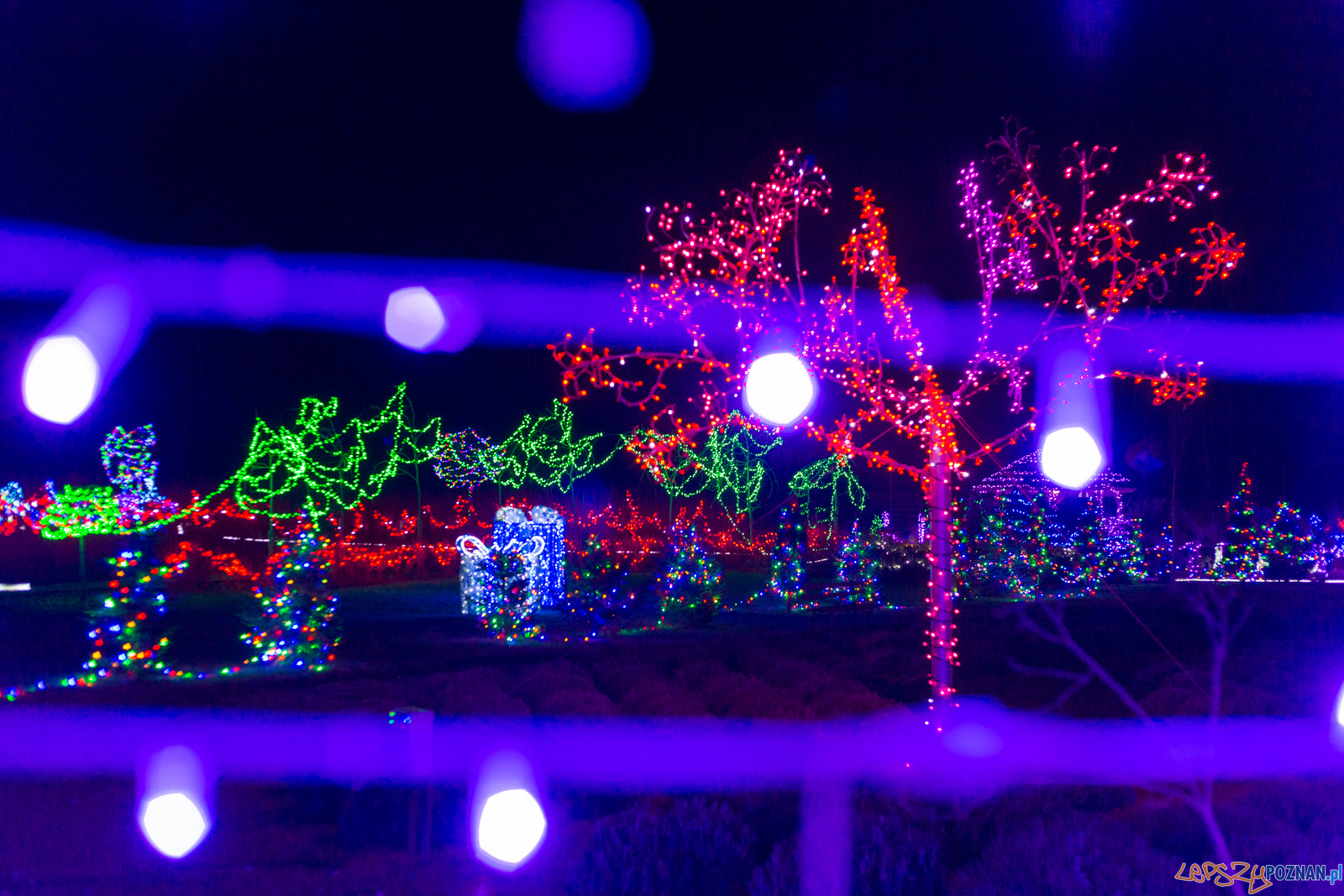 Spotkanie noworoczne w Dello Ristorante Foto: lepszyPOZNAN.pl/Piotr Rychter Spotkanie noworoczne w Dello Ristorante Foto: lepszyPOZNAN.pl/Piotr Rychter