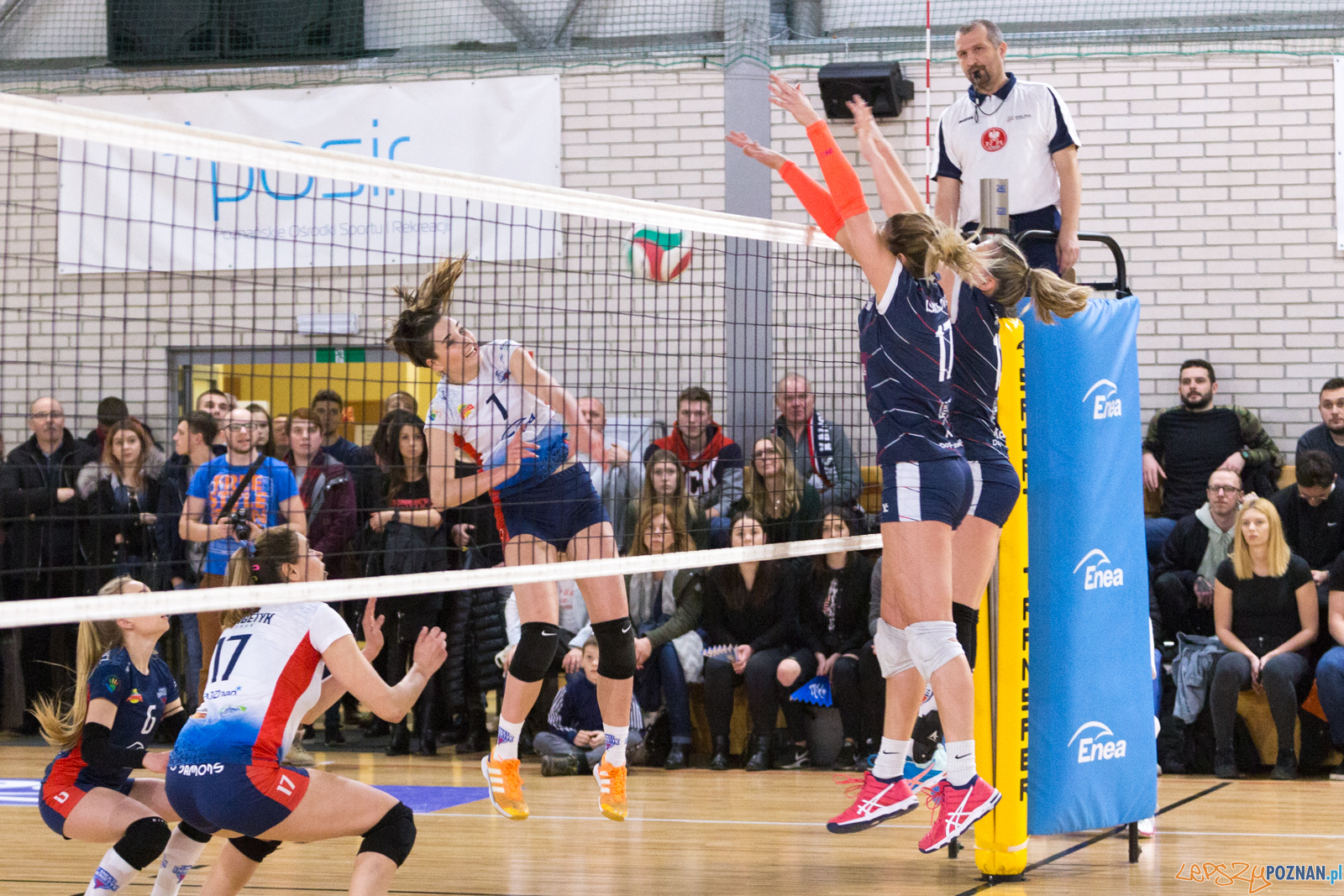 Enea Energetyk Poznań - Energa MKS Kalisz Foto: lepszyPOZNAN.pl/Piotr Rychter Enea Energetyk Poznań - Energa MKS Kalisz Foto: lepszyPOZNAN.pl/Piotr Rychter