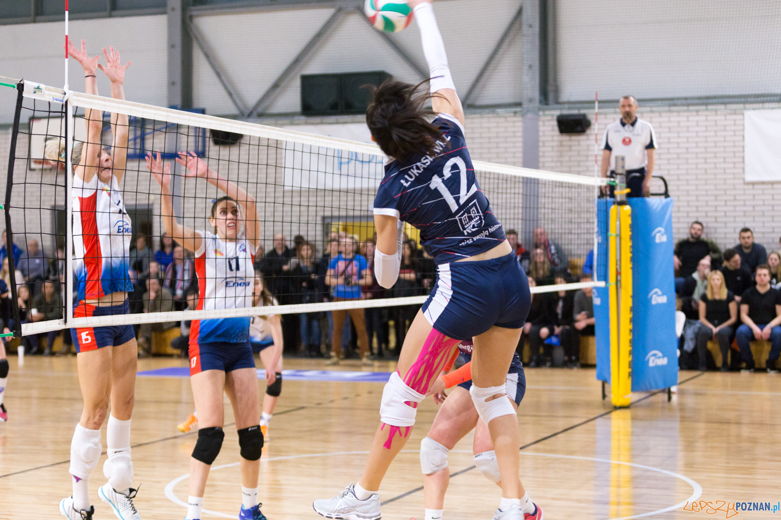 Enea Energetyk Poznań - Energa MKS Kalisz Foto: lepszyPOZNAN.pl/Piotr Rychter Enea Energetyk Poznań - Energa MKS Kalisz Foto: lepszyPOZNAN.pl/Piotr Rychter