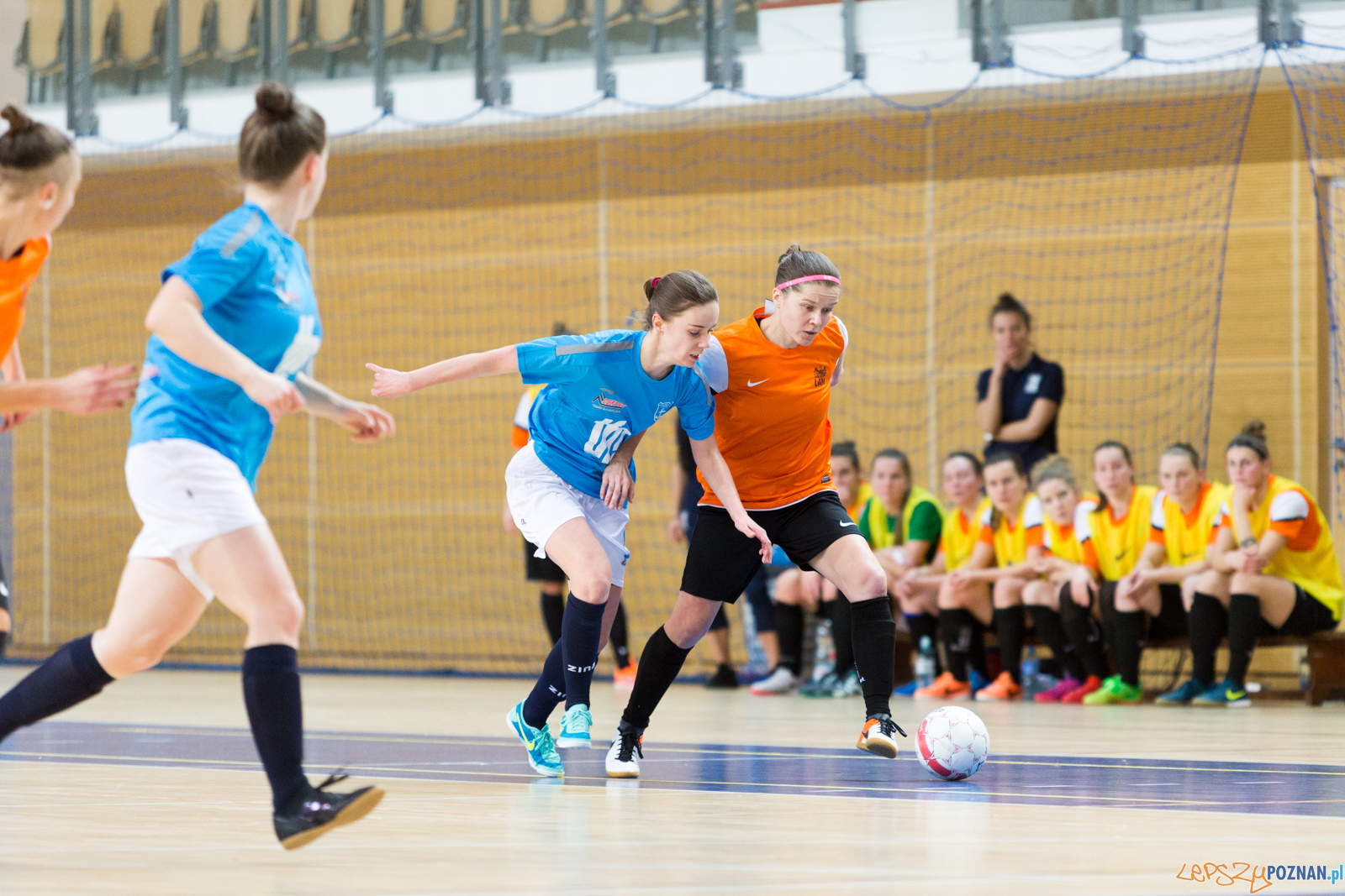 AZS UAM Poznań - Kotwica Kórnik Foto: lepszyPOZNAN.pl/Piotr Rychter AZS UAM Poznań - Kotwica Kórnik Foto: lepszyPOZNAN.pl/Piotr Rychter