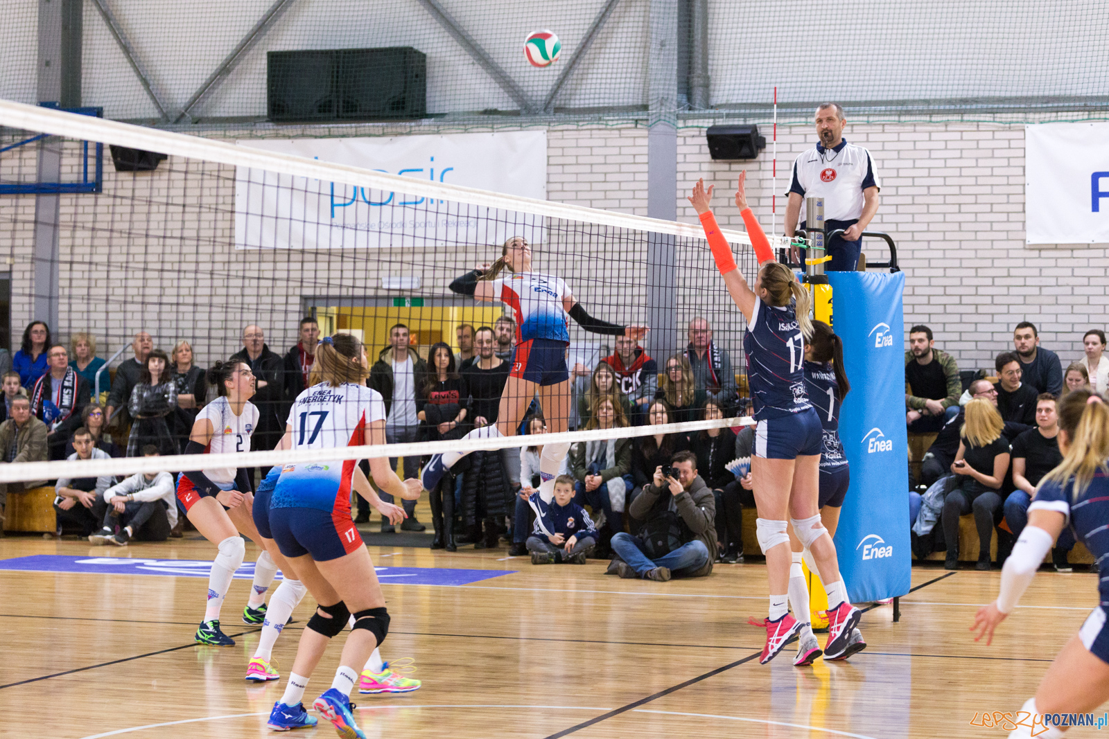 Enea Energetyk Poznań - Energa MKS Kalisz Foto: lepszyPOZNAN.pl/Piotr Rychter Enea Energetyk Poznań - Energa MKS Kalisz Foto: lepszyPOZNAN.pl/Piotr Rychter