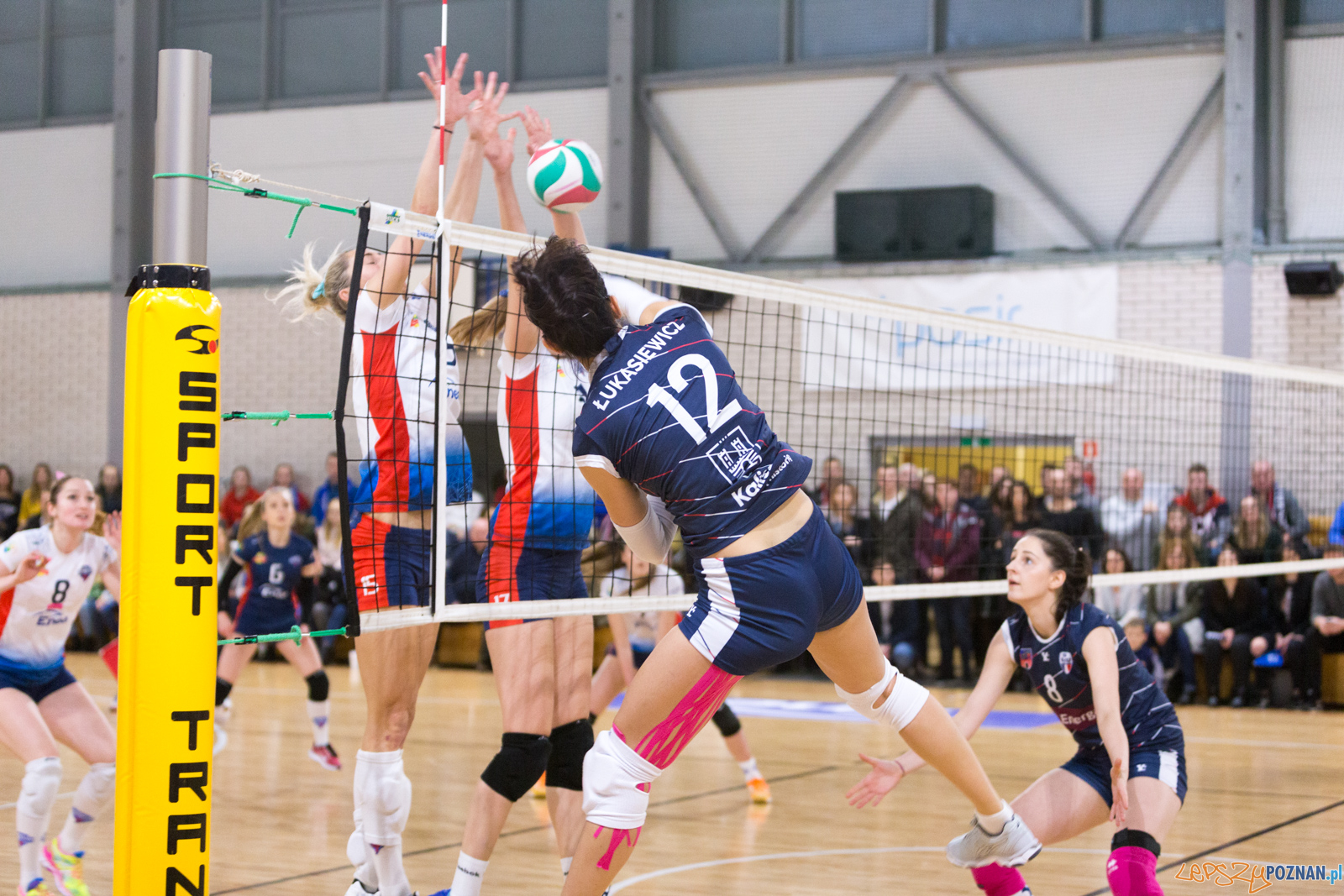 Enea Energetyk Poznań - Energa MKS Kalisz Foto: lepszyPOZNAN.pl/Piotr Rychter Enea Energetyk Poznań - Energa MKS Kalisz Foto: lepszyPOZNAN.pl/Piotr Rychter