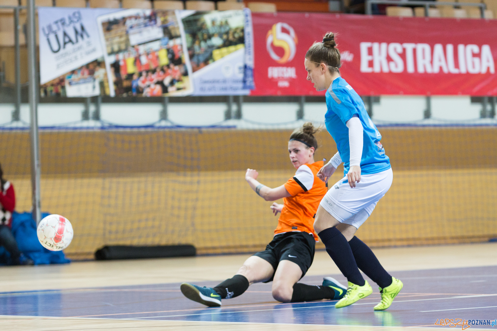 AZS UAM Poznań - Kotwica Kórnik Foto: lepszyPOZNAN.pl/Piotr Rychter AZS UAM Poznań - Kotwica Kórnik Foto: lepszyPOZNAN.pl/Piotr Rychter