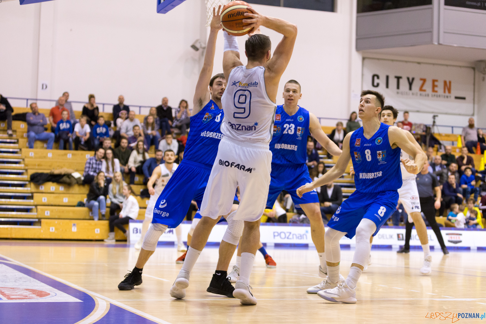 Biofarm Basket Poznań - Energa Kotwica Kołobrzeg Foto: lepszyPOZNAN.pl/Piotr Rychter Biofarm Basket Poznań - Energa Kotwica Kołobrzeg Foto: lepszyPOZNAN.pl/Piotr Rychter