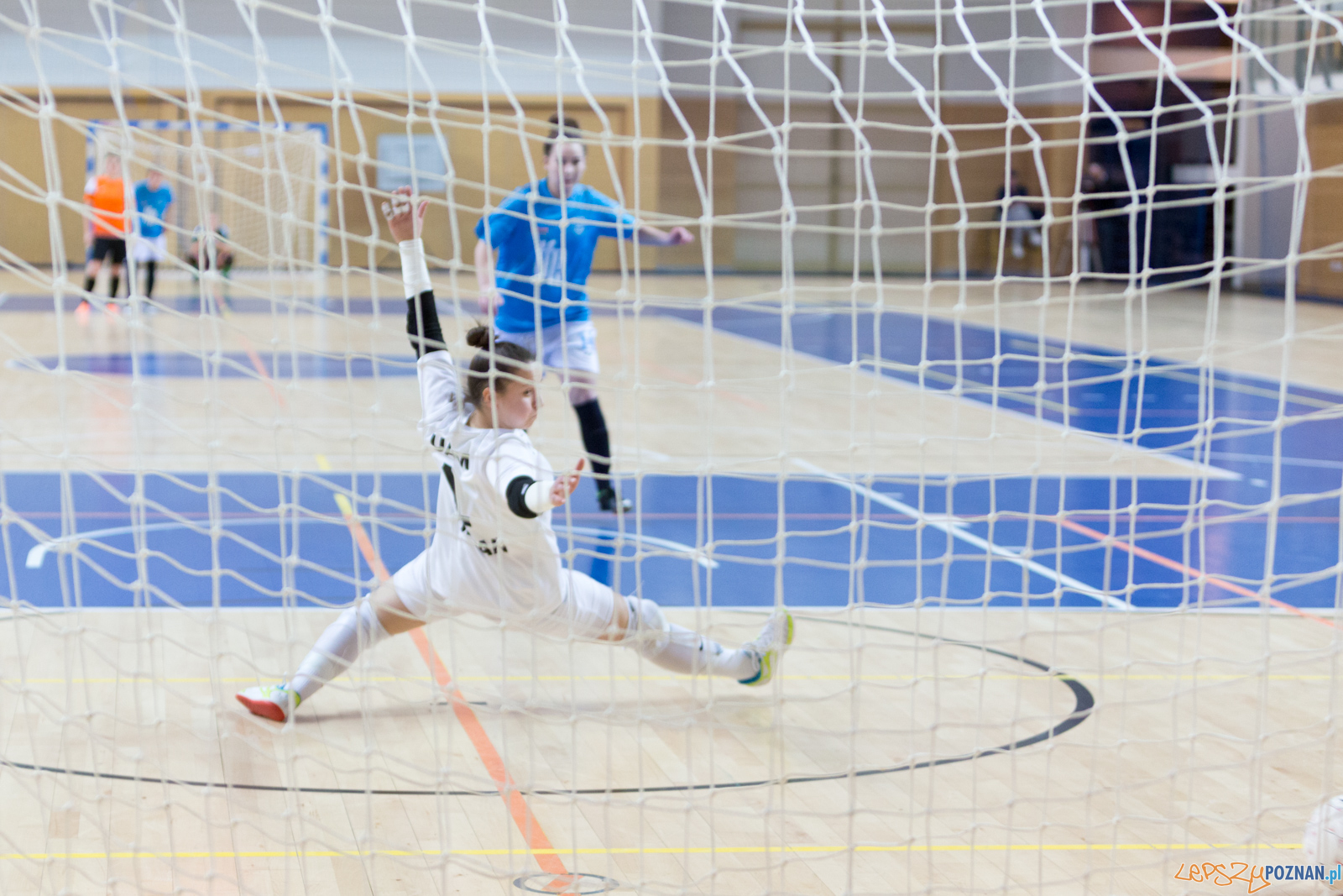 AZS UAM Poznań - Kotwica Kórnik Foto: lepszyPOZNAN.pl/Piotr Rychter AZS UAM Poznań - Kotwica Kórnik Foto: lepszyPOZNAN.pl/Piotr Rychter