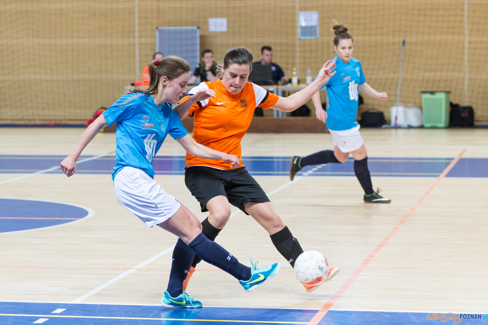 AZS UAM Poznań - Kotwica Kórnik Foto: lepszyPOZNAN.pl/Piotr Rychter AZS UAM Poznań - Kotwica Kórnik Foto: lepszyPOZNAN.pl/Piotr Rychter