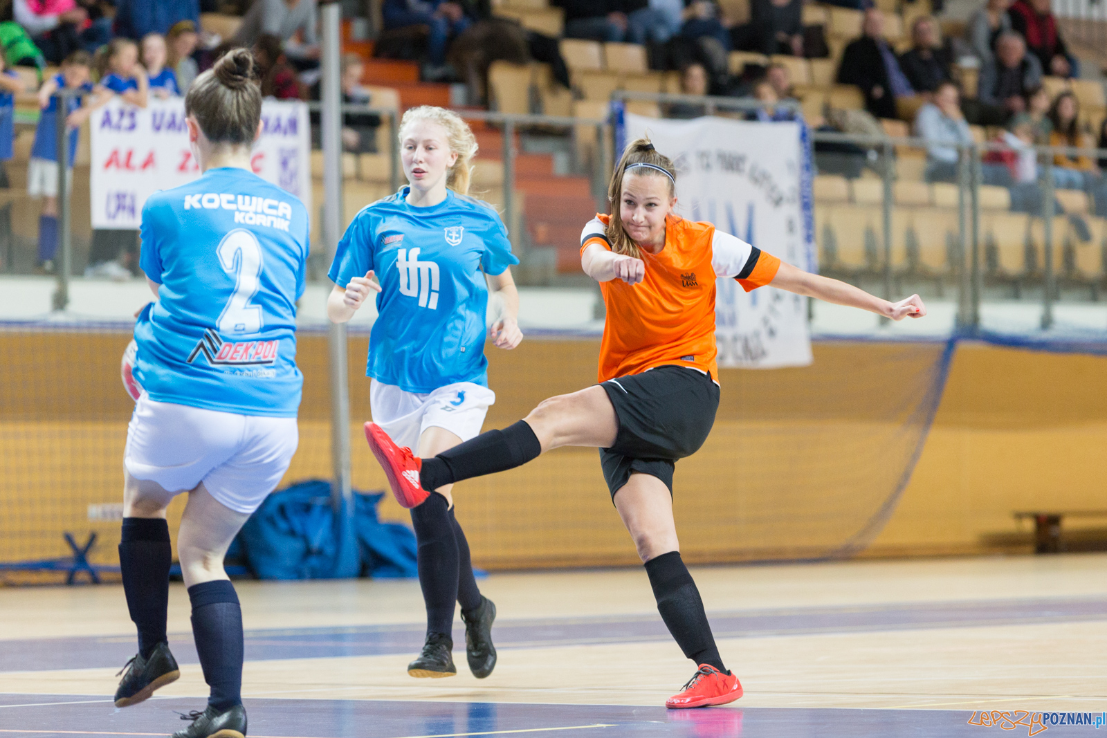 AZS UAM Poznań - Kotwica Kórnik Foto: lepszyPOZNAN.pl/Piotr Rychter AZS UAM Poznań - Kotwica Kórnik Foto: lepszyPOZNAN.pl/Piotr Rychter