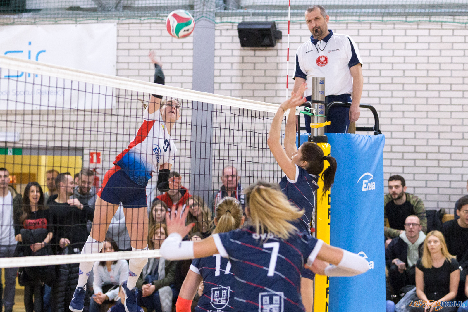 Enea Energetyk Poznań - Energa MKS Kalisz Foto: lepszyPOZNAN.pl/Piotr Rychter Enea Energetyk Poznań - Energa MKS Kalisz Foto: lepszyPOZNAN.pl/Piotr Rychter