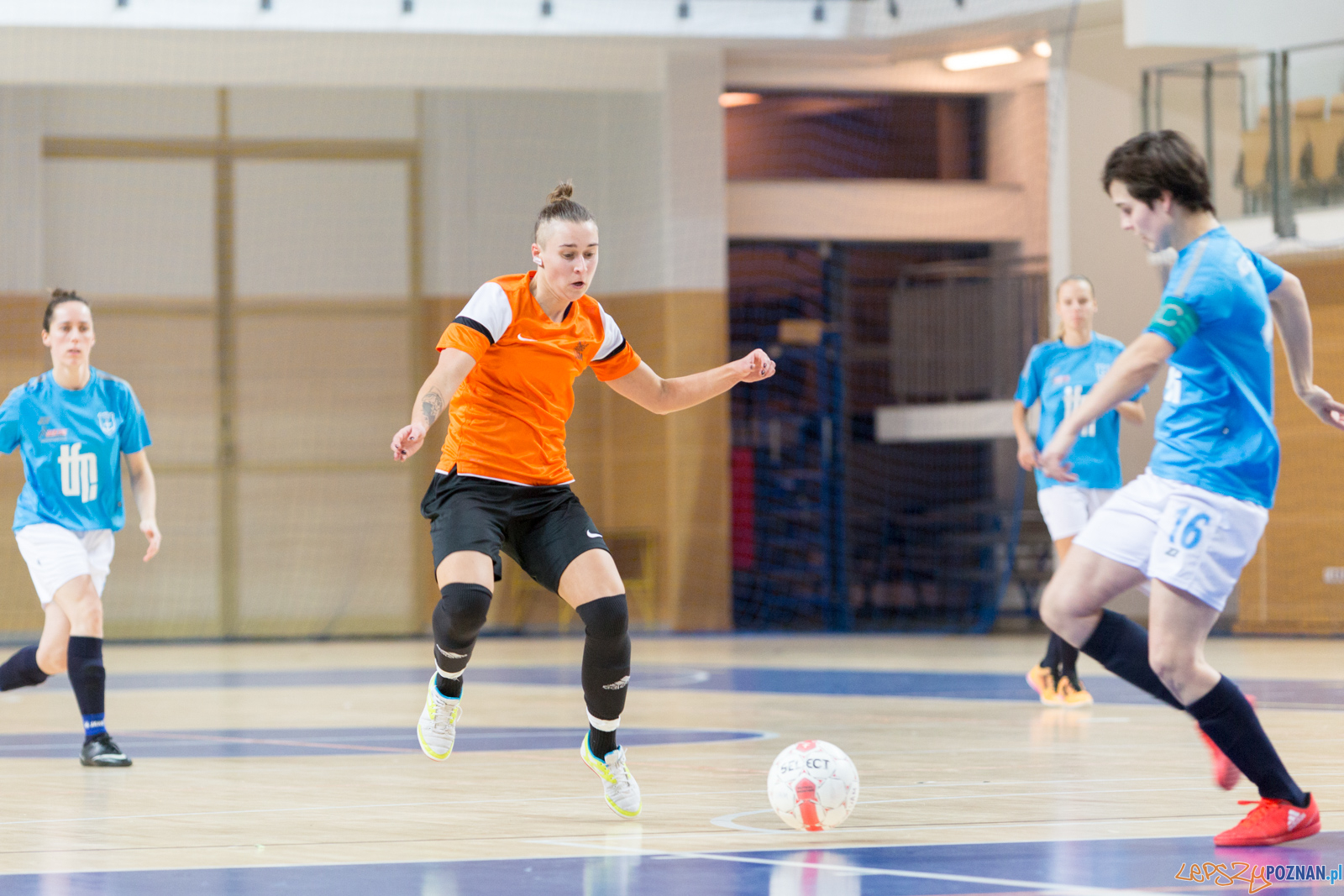 AZS UAM Poznań - Kotwica Kórnik Foto: lepszyPOZNAN.pl/Piotr Rychter AZS UAM Poznań - Kotwica Kórnik Foto: lepszyPOZNAN.pl/Piotr Rychter