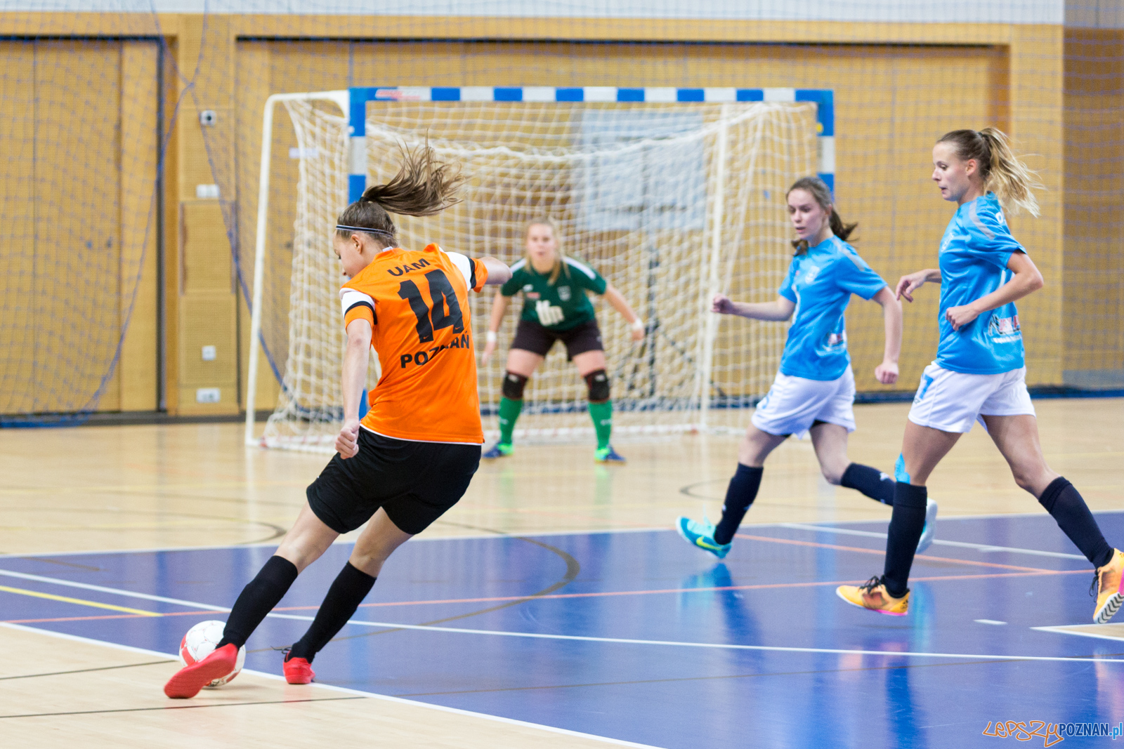 AZS UAM Poznań - Kotwica Kórnik Foto: lepszyPOZNAN.pl/Piotr Rychter AZS UAM Poznań - Kotwica Kórnik Foto: lepszyPOZNAN.pl/Piotr Rychter