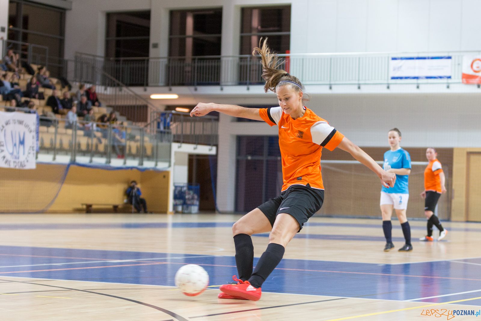 AZS UAM Poznań - Kotwica Kórnik Foto: lepszyPOZNAN.pl/Piotr Rychter AZS UAM Poznań - Kotwica Kórnik Foto: lepszyPOZNAN.pl/Piotr Rychter
