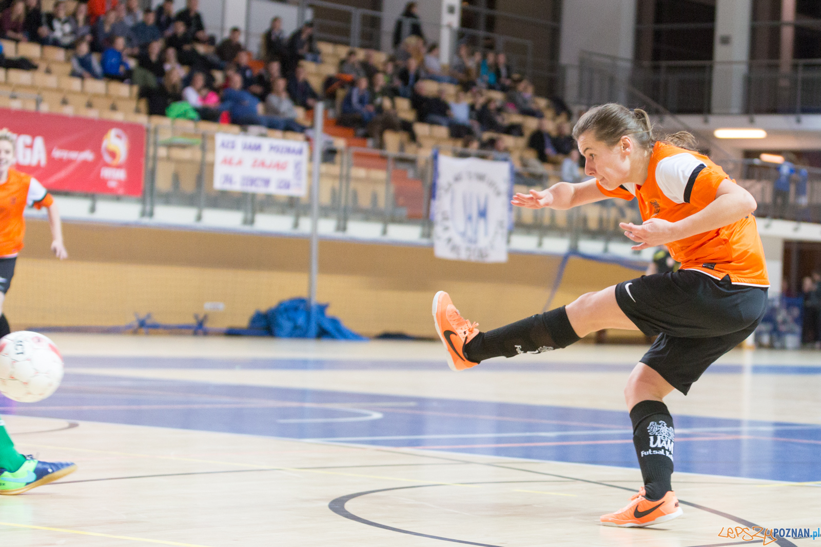 AZS UAM Poznań - Kotwica Kórnik Foto: lepszyPOZNAN.pl/Piotr Rychter AZS UAM Poznań - Kotwica Kórnik Foto: lepszyPOZNAN.pl/Piotr Rychter