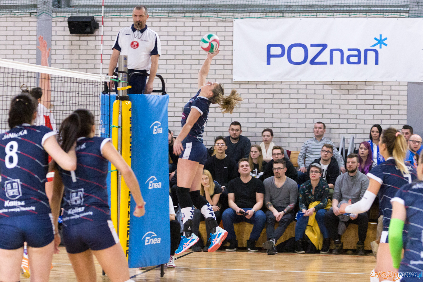 Enea Energetyk Poznań - Energa MKS Kalisz Foto: lepszyPOZNAN.pl/Piotr Rychter Enea Energetyk Poznań - Energa MKS Kalisz Foto: lepszyPOZNAN.pl/Piotr Rychter