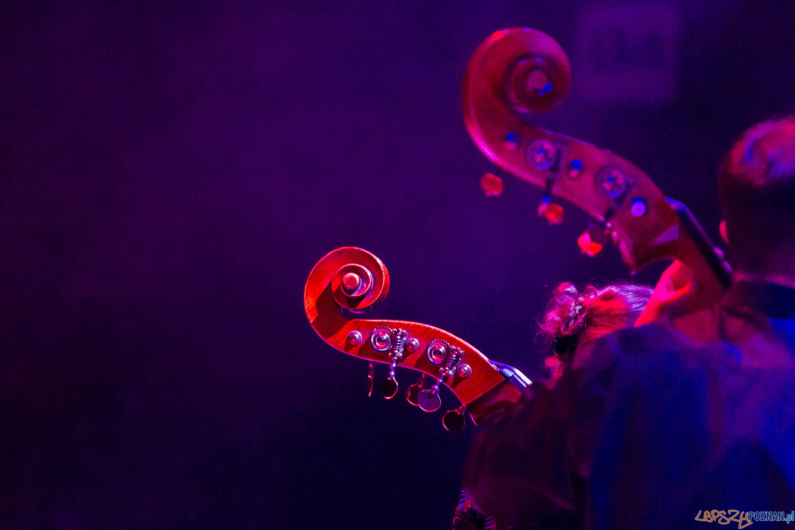 Betlejem w Poznaniu Foto: lepszyPOZNAN.pl / Ewelina Jaskowiak Betlejem w Poznaniu Foto: lepszyPOZNAN.pl / Ewelina Jaskowiak