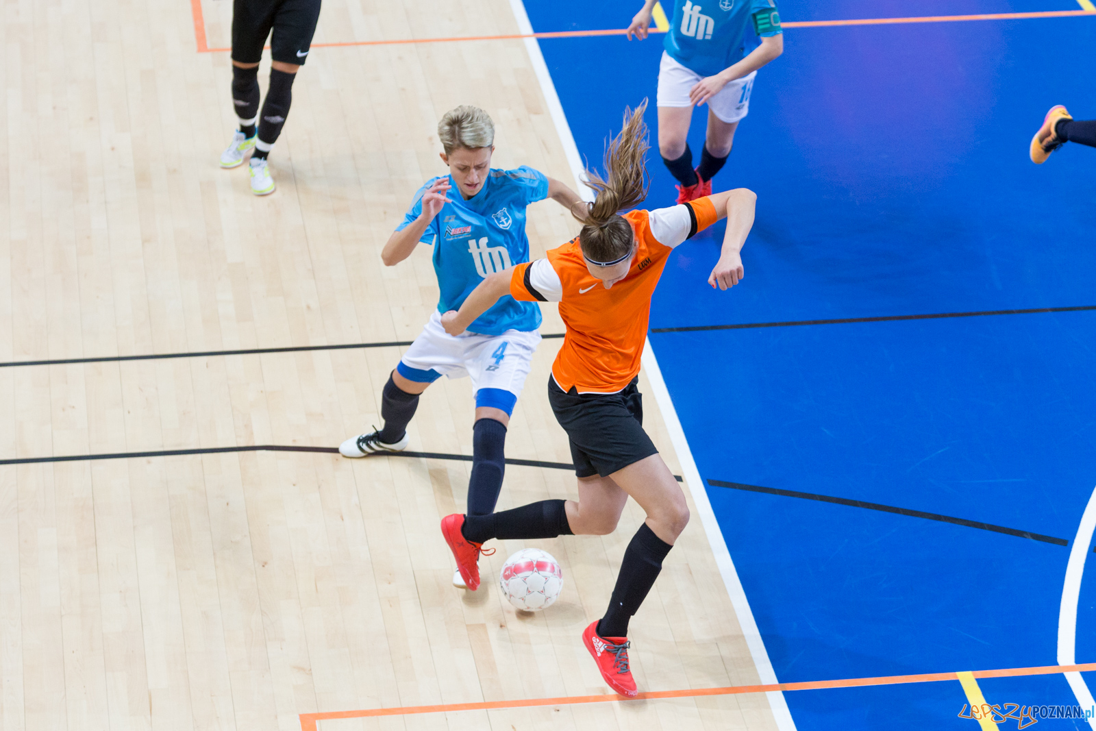 AZS UAM Poznań - Kotwica Kórnik Foto: lepszyPOZNAN.pl/Piotr Rychter AZS UAM Poznań - Kotwica Kórnik Foto: lepszyPOZNAN.pl/Piotr Rychter