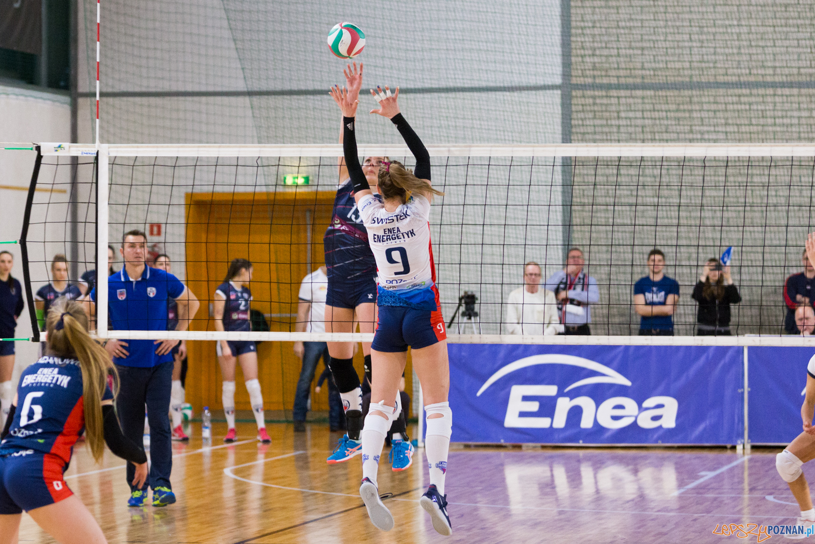 Enea Energetyk Poznań - Energa MKS Kalisz Foto: lepszyPOZNAN.pl/Piotr Rychter Enea Energetyk Poznań - Energa MKS Kalisz Foto: lepszyPOZNAN.pl/Piotr Rychter