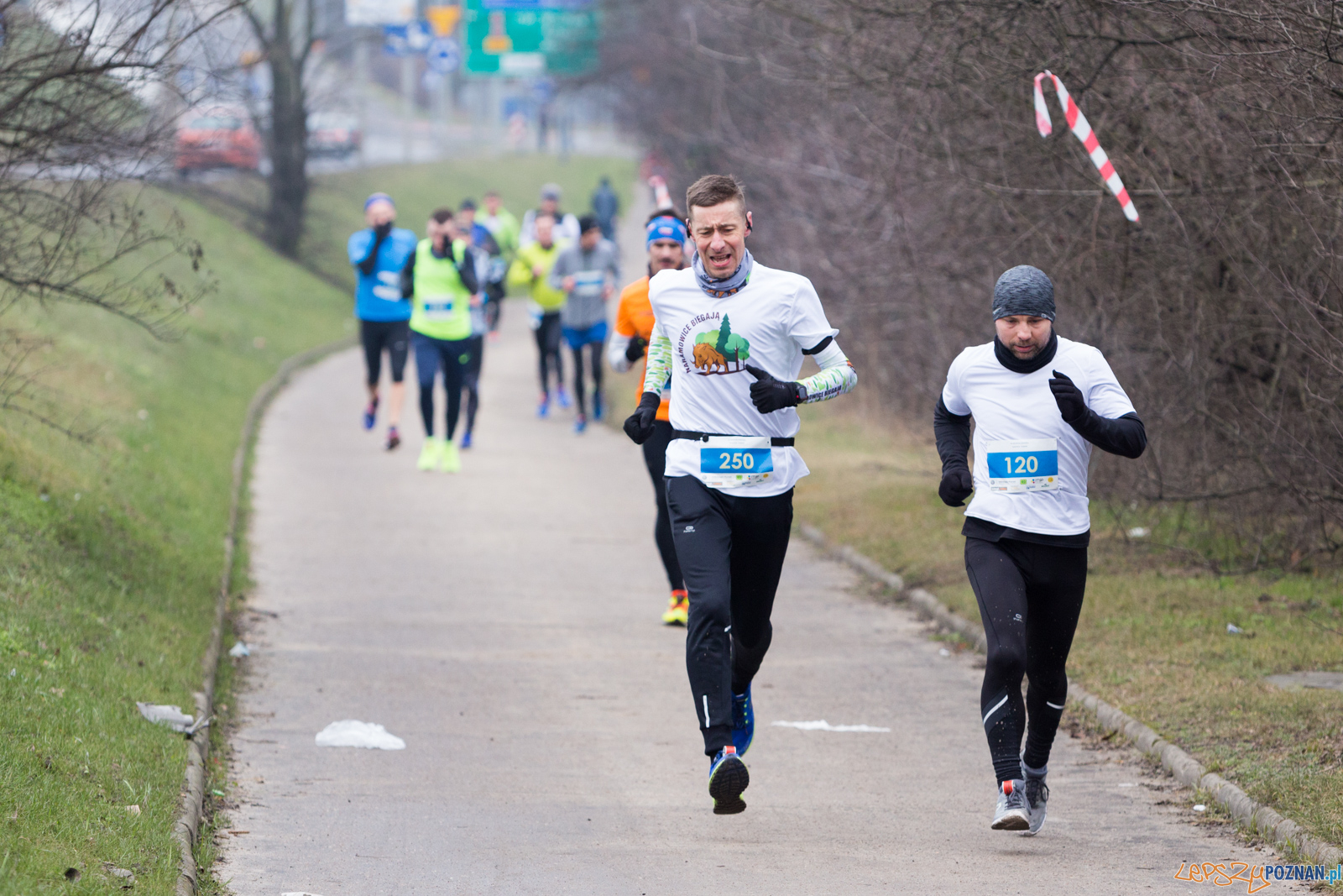 VIII Wildecka Dziesiątka Foto: lepszyPOZNAN.pl/Piotr Rychter VIII Wildecka Dziesiątka Foto: lepszyPOZNAN.pl/Piotr Rychter