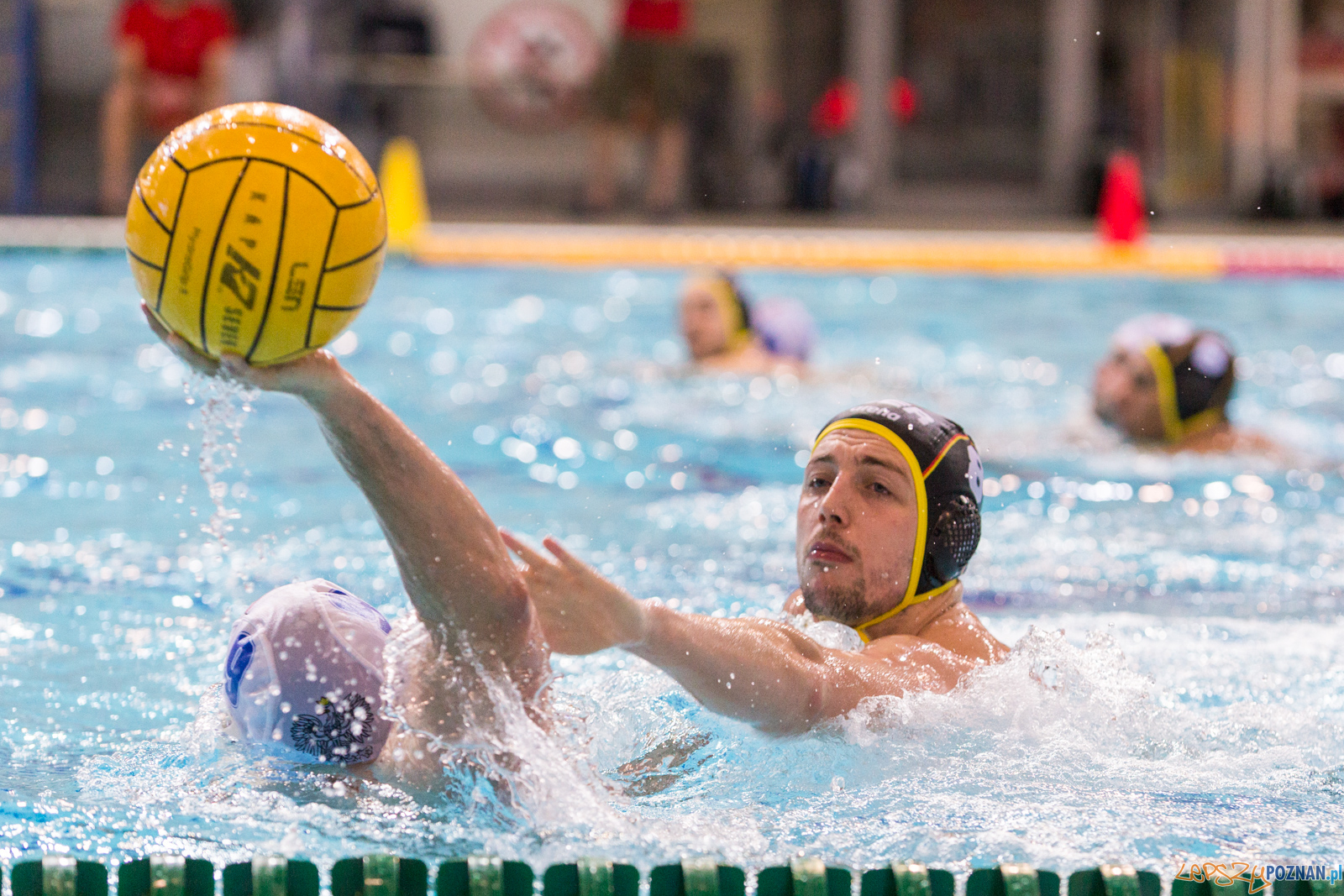 Mecz Polska - Niemcy - Eliminacje Mistrzostw Europy Foto: lepszyPOZNAN.pl/Piotr Rychter Mecz Polska - Niemcy - Eliminacje Mistrzostw Europy Foto: lepszyPOZNAN.pl/Piotr Rychter