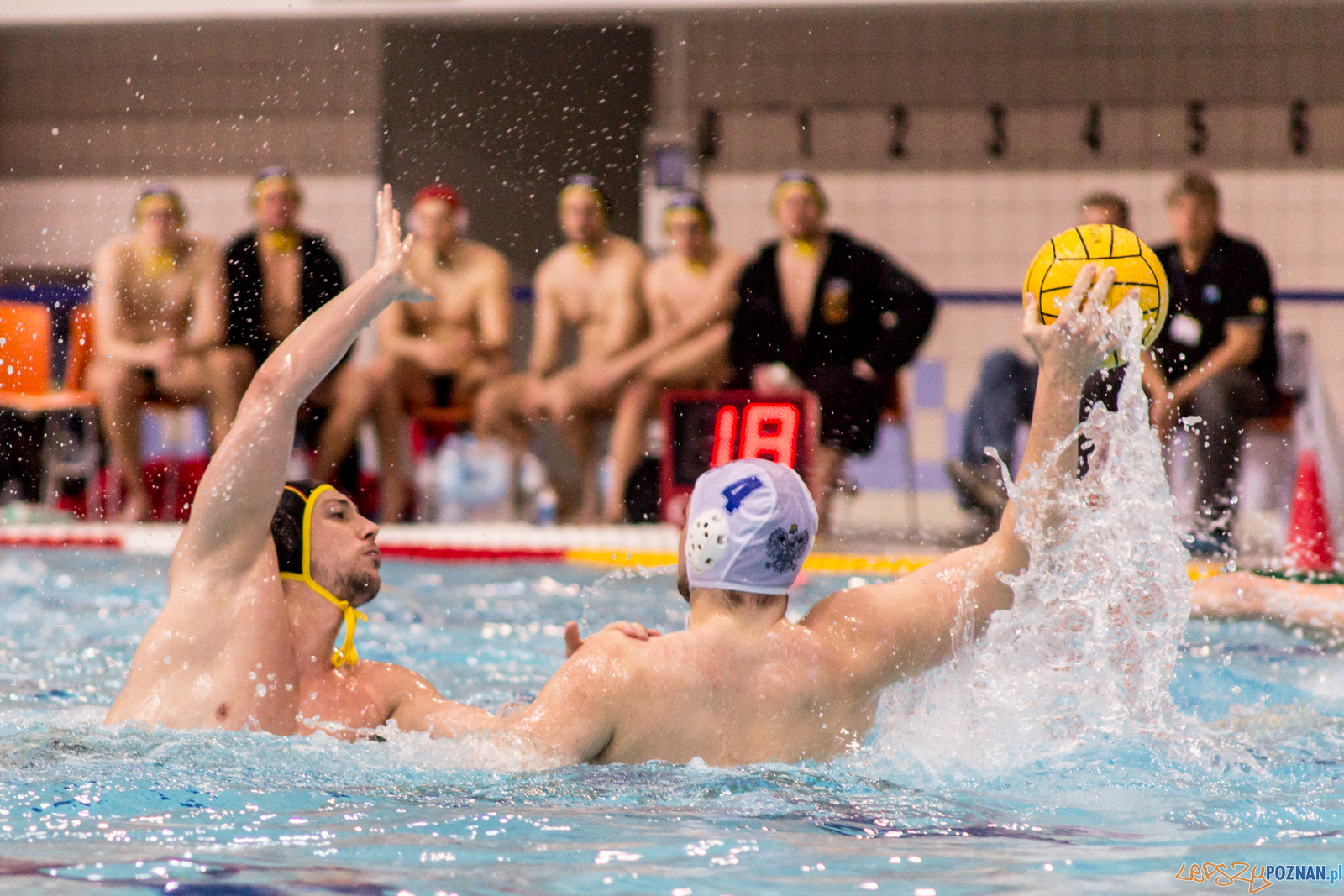 Mecz Polska - Niemcy - Eliminacje Mistrzostw Europy Foto: lepszyPOZNAN.pl / Ewelina Jaskowiak Mecz Polska - Niemcy - Eliminacje Mistrzostw Europy Foto: lepszyPOZNAN.pl / Ewelina Jaskowiak