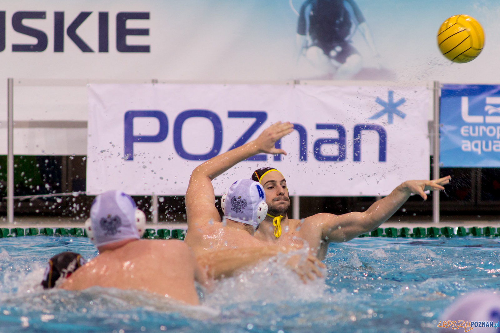 Mecz Polska - Niemcy - Eliminacje Mistrzostw Europy Foto: lepszyPOZNAN.pl / Ewelina Jaskowiak Mecz Polska - Niemcy - Eliminacje Mistrzostw Europy Foto: lepszyPOZNAN.pl / Ewelina Jaskowiak