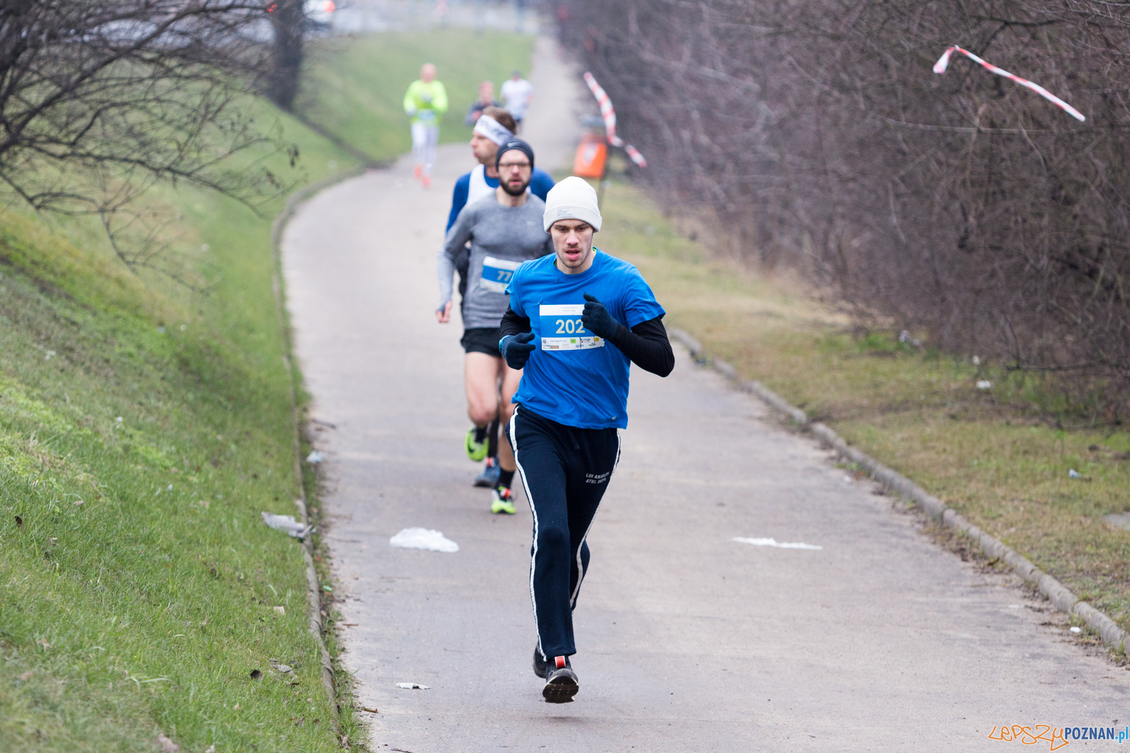 VIII Wildecka Dziesiątka Foto: lepszyPOZNAN.pl/Piotr Rychter VIII Wildecka Dziesiątka Foto: lepszyPOZNAN.pl/Piotr Rychter