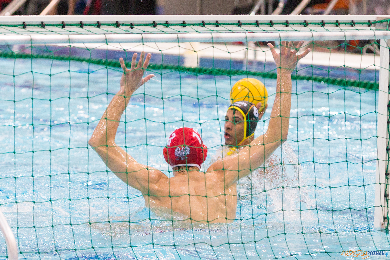 Mecz Polska - Niemcy - Eliminacje Mistrzostw Europy Foto: lepszyPOZNAN.pl/Piotr Rychter Mecz Polska - Niemcy - Eliminacje Mistrzostw Europy Foto: lepszyPOZNAN.pl/Piotr Rychter