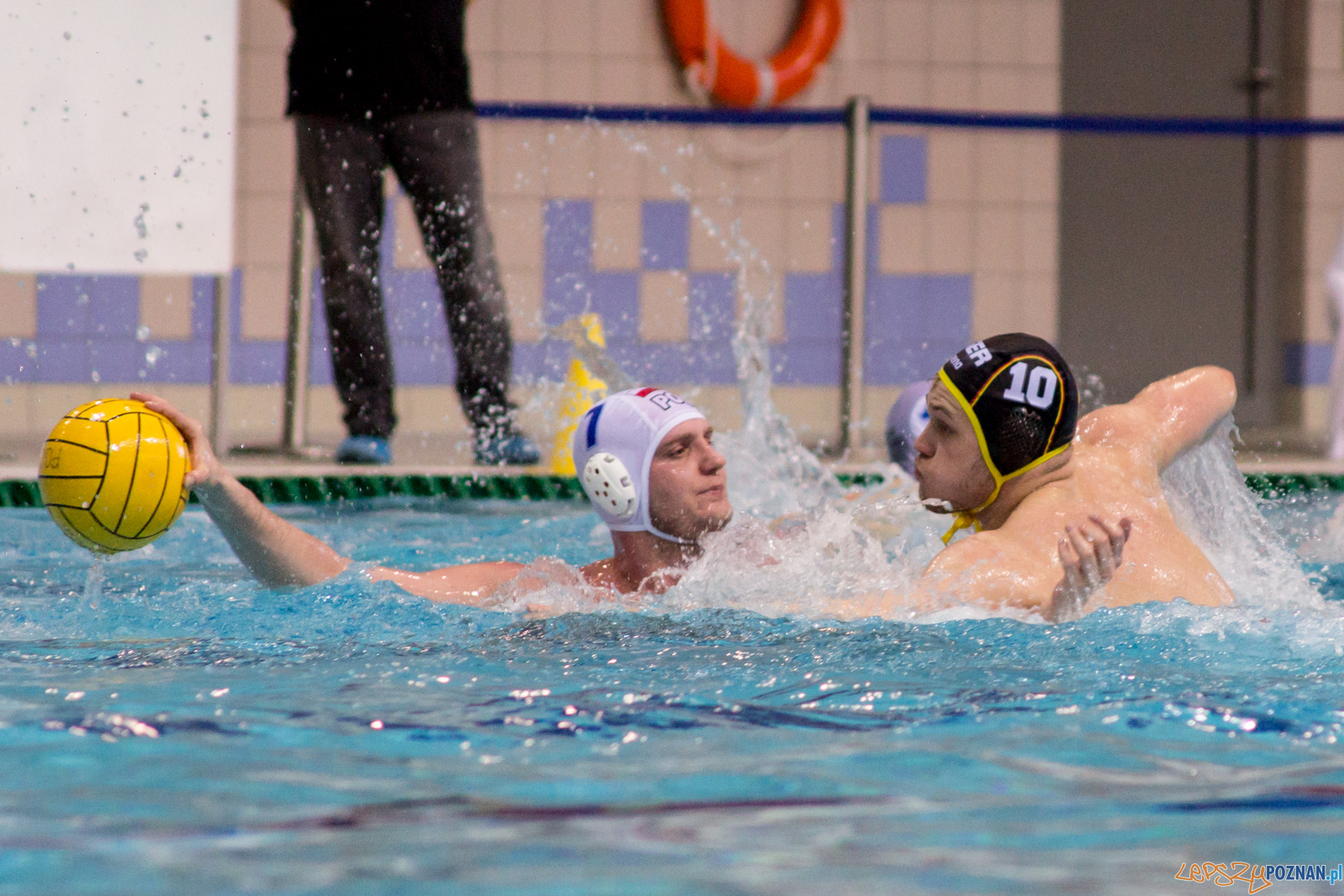 Mecz Polska - Niemcy - Eliminacje Mistrzostw Europy Foto: lepszyPOZNAN.pl / Ewelina Jaskowiak Mecz Polska - Niemcy - Eliminacje Mistrzostw Europy Foto: lepszyPOZNAN.pl / Ewelina Jaskowiak