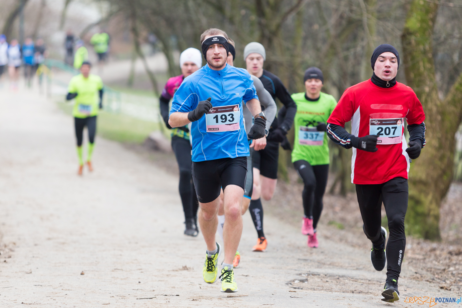 V Bieg Czekoladowy Foto: lepszyPOZNAN.pl/Piotr Rychter V Bieg Czekoladowy Foto: lepszyPOZNAN.pl/Piotr Rychter