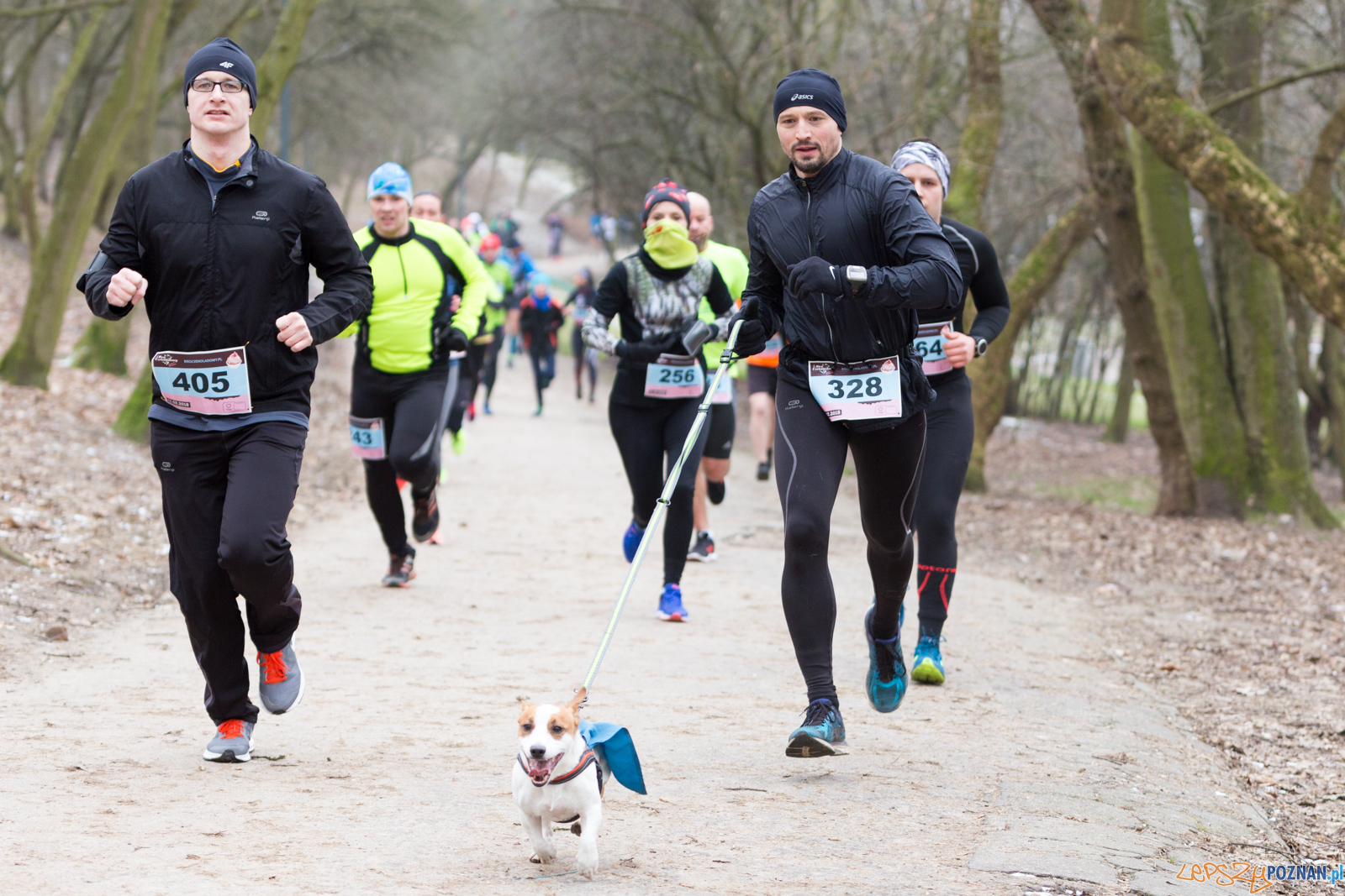 V Bieg Czekoladowy Foto: lepszyPOZNAN.pl/Piotr Rychter V Bieg Czekoladowy Foto: lepszyPOZNAN.pl/Piotr Rychter