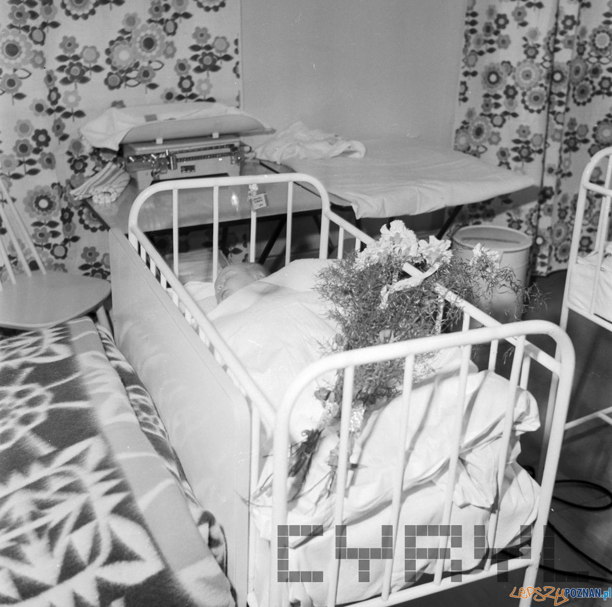 500 001 obywatel Poznania - delegacje i upominki Foto: Stanisław Wiktor / Cyryl 500 001 obywatel Poznania - delegacje i upominki Foto: Stanisław Wiktor / Cyryl