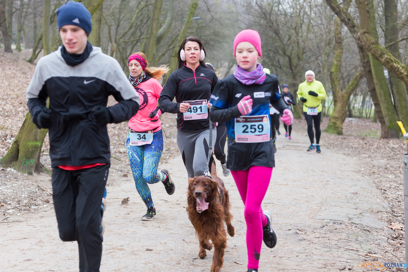 V Bieg Czekoladowy Foto: lepszyPOZNAN.pl/Piotr Rychter V Bieg Czekoladowy Foto: lepszyPOZNAN.pl/Piotr Rychter