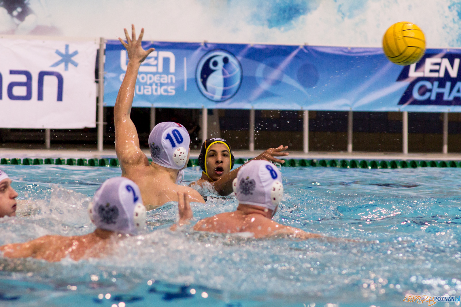 Mecz Polska - Niemcy - Eliminacje Mistrzostw Europy Foto: lepszyPOZNAN.pl / Ewelina Jaskowiak Mecz Polska - Niemcy - Eliminacje Mistrzostw Europy Foto: lepszyPOZNAN.pl / Ewelina Jaskowiak