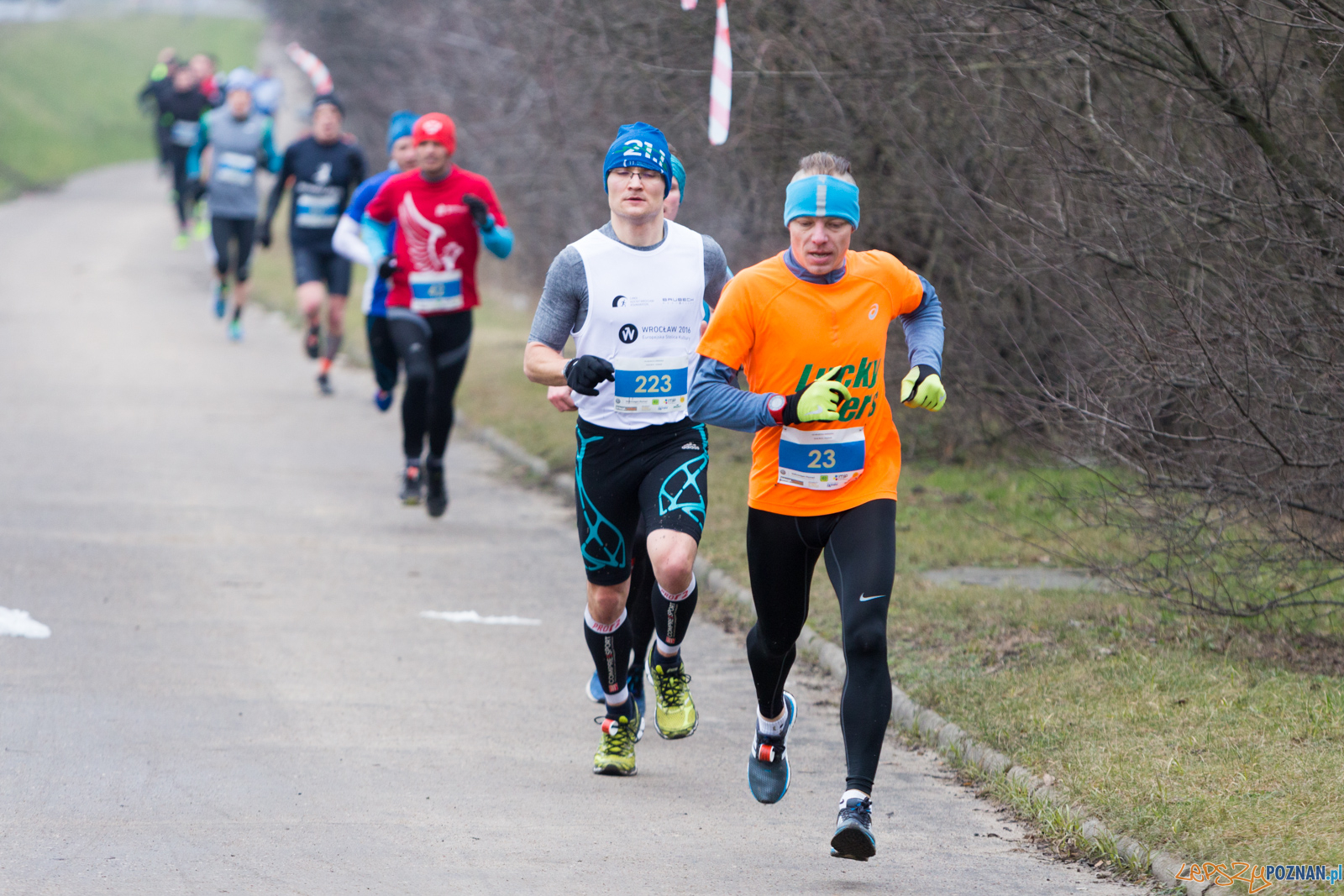VIII Wildecka Dziesiątka Foto: lepszyPOZNAN.pl/Piotr Rychter VIII Wildecka Dziesiątka Foto: lepszyPOZNAN.pl/Piotr Rychter