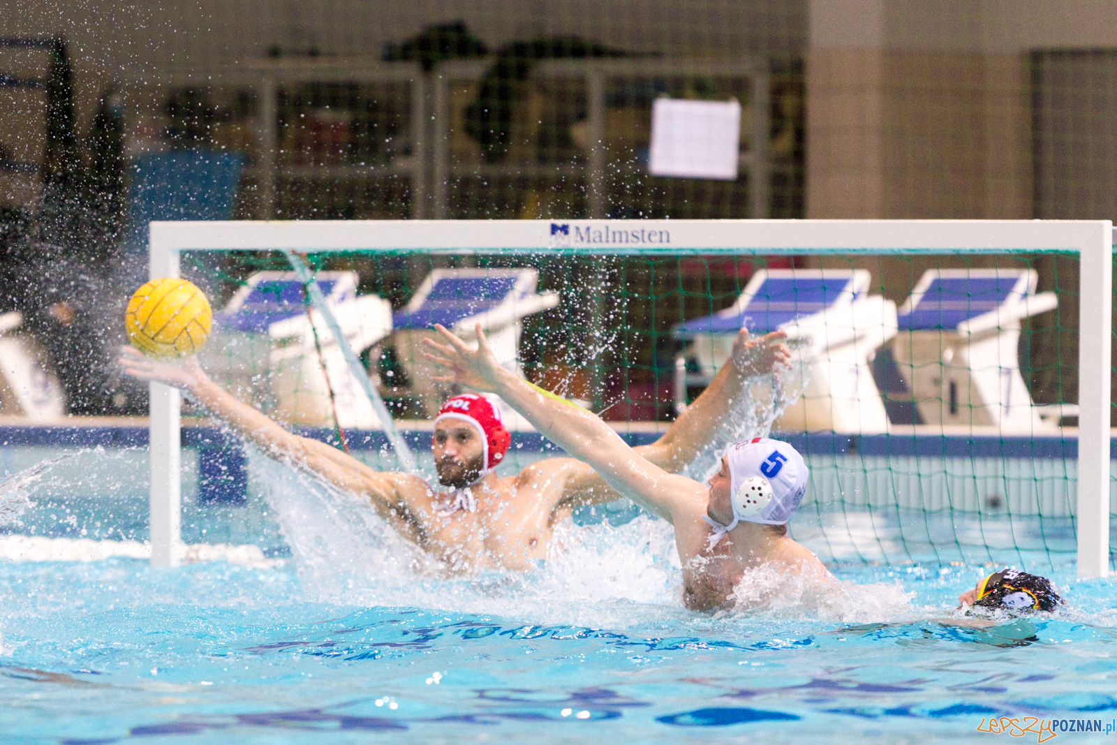 Mecz Polska - Niemcy - Eliminacje Mistrzostw Europy Foto: lepszyPOZNAN.pl/Piotr Rychter Mecz Polska - Niemcy - Eliminacje Mistrzostw Europy Foto: lepszyPOZNAN.pl/Piotr Rychter