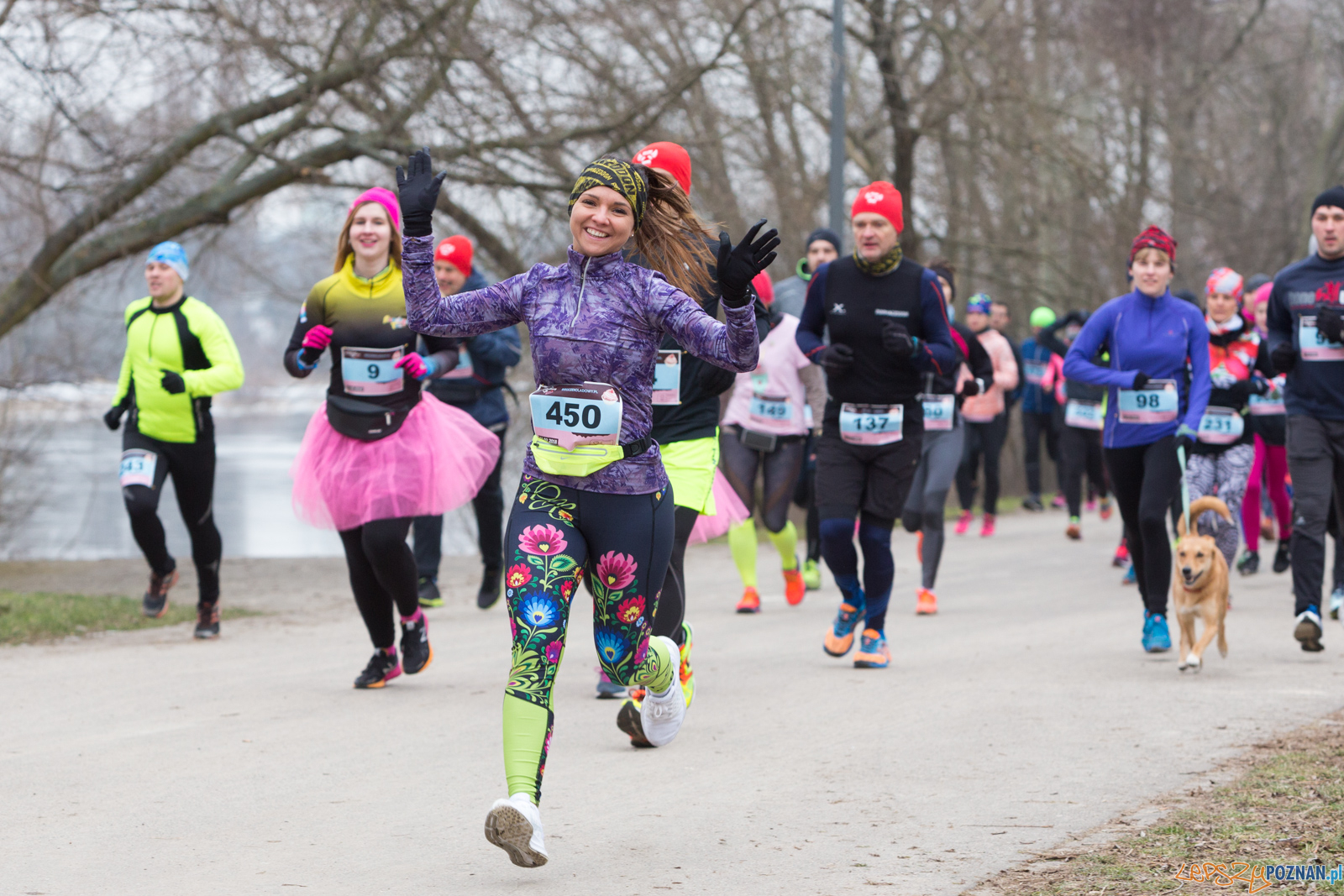 V Bieg Czekoladowy Foto: lepszyPOZNAN.pl/Piotr Rychter V Bieg Czekoladowy Foto: lepszyPOZNAN.pl/Piotr Rychter