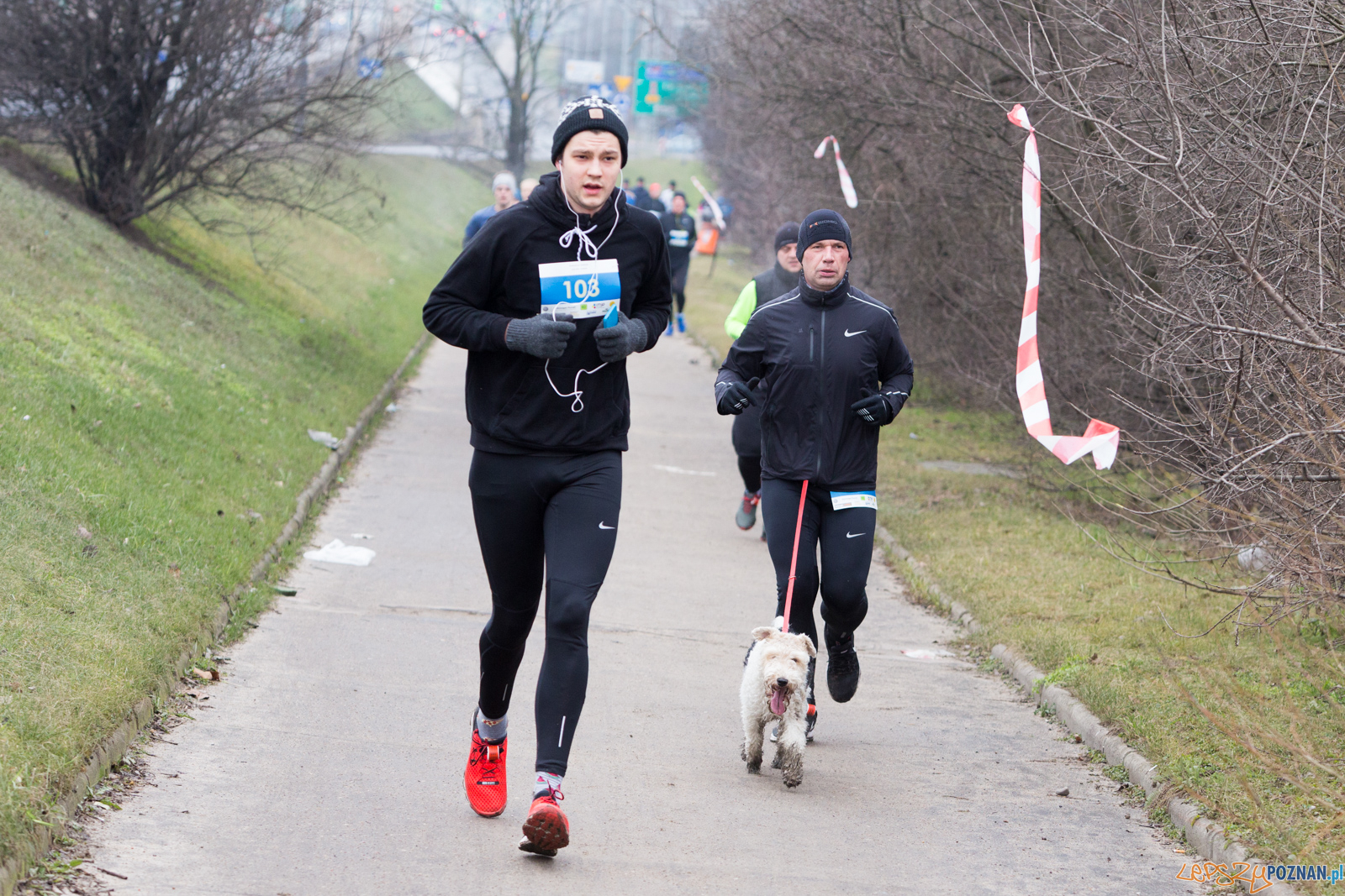 VIII Wildecka Dziesiątka Foto: lepszyPOZNAN.pl/Piotr Rychter VIII Wildecka Dziesiątka Foto: lepszyPOZNAN.pl/Piotr Rychter