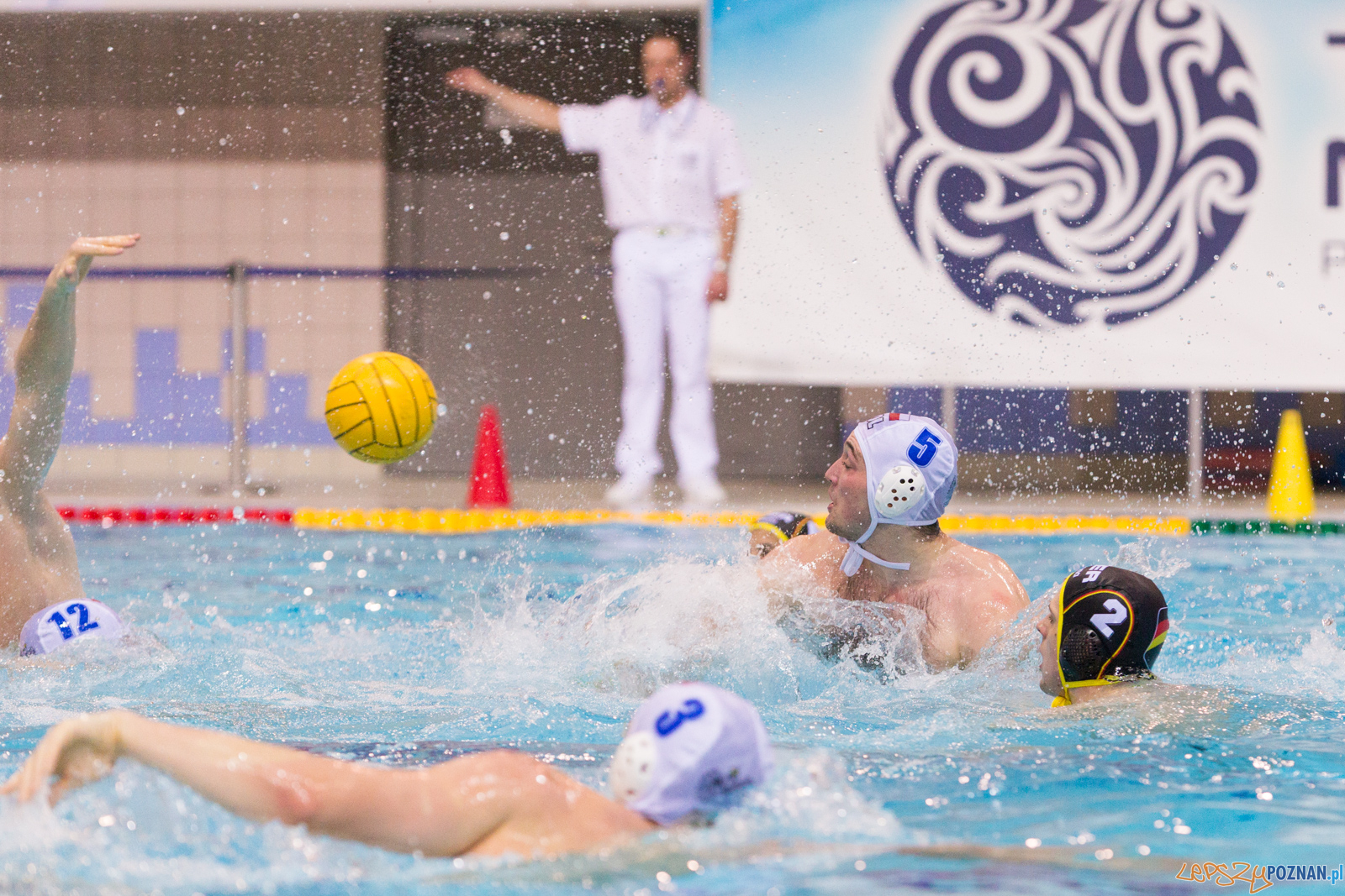 Mecz Polska - Niemcy - Eliminacje Mistrzostw Europy Foto: lepszyPOZNAN.pl/Piotr Rychter Mecz Polska - Niemcy - Eliminacje Mistrzostw Europy Foto: lepszyPOZNAN.pl/Piotr Rychter