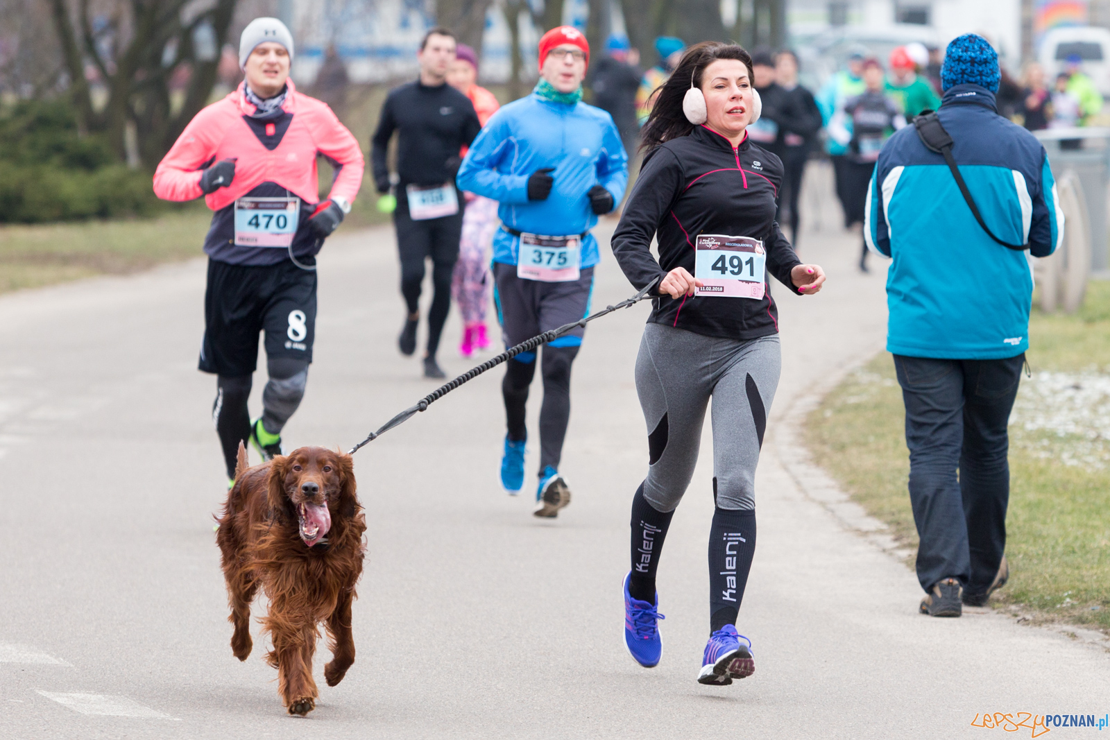 V Bieg Czekoladowy Foto: lepszyPOZNAN.pl/Piotr Rychter V Bieg Czekoladowy Foto: lepszyPOZNAN.pl/Piotr Rychter