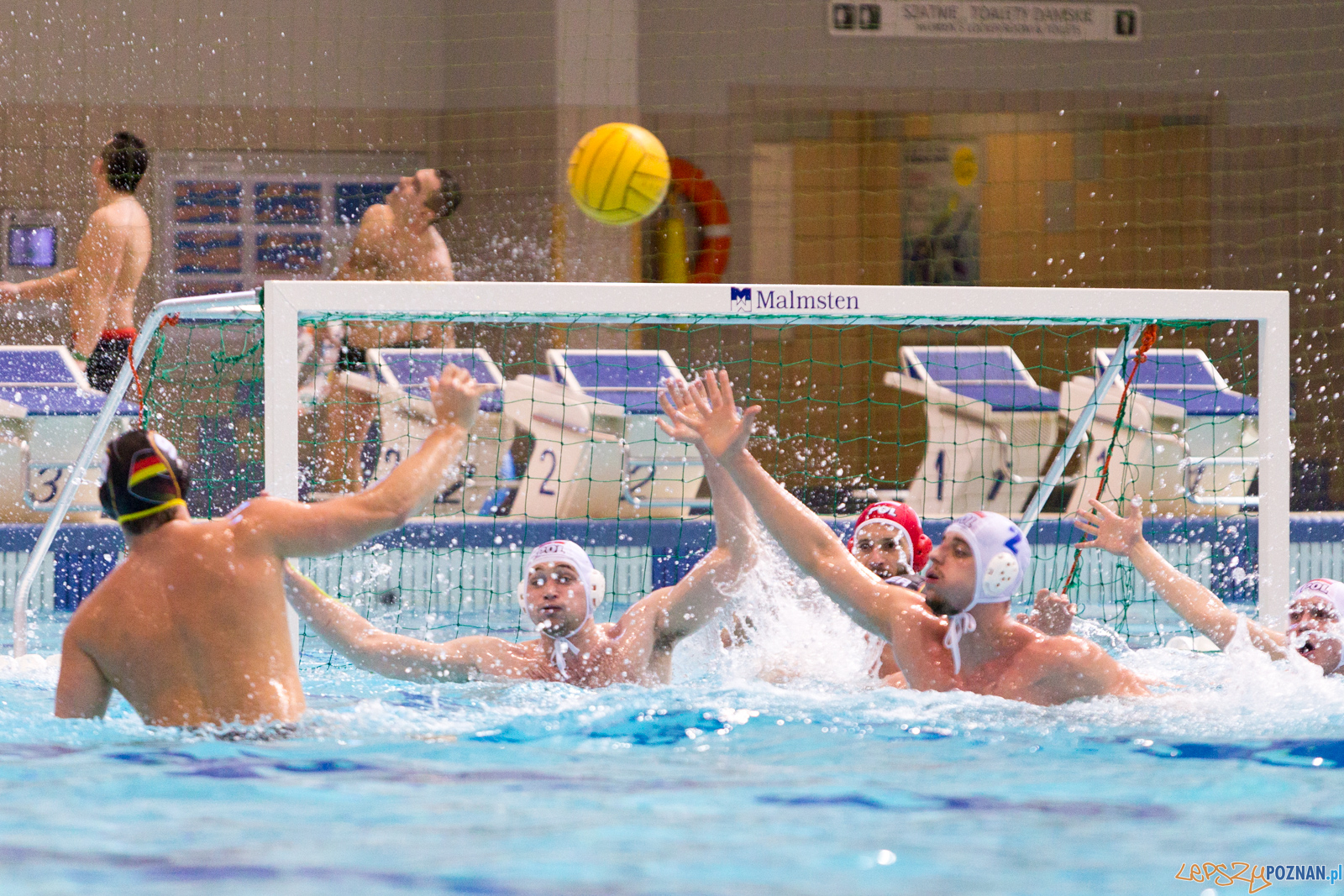 Mecz Polska - Niemcy - Eliminacje Mistrzostw Europy Foto: lepszyPOZNAN.pl/Piotr Rychter Mecz Polska - Niemcy - Eliminacje Mistrzostw Europy Foto: lepszyPOZNAN.pl/Piotr Rychter