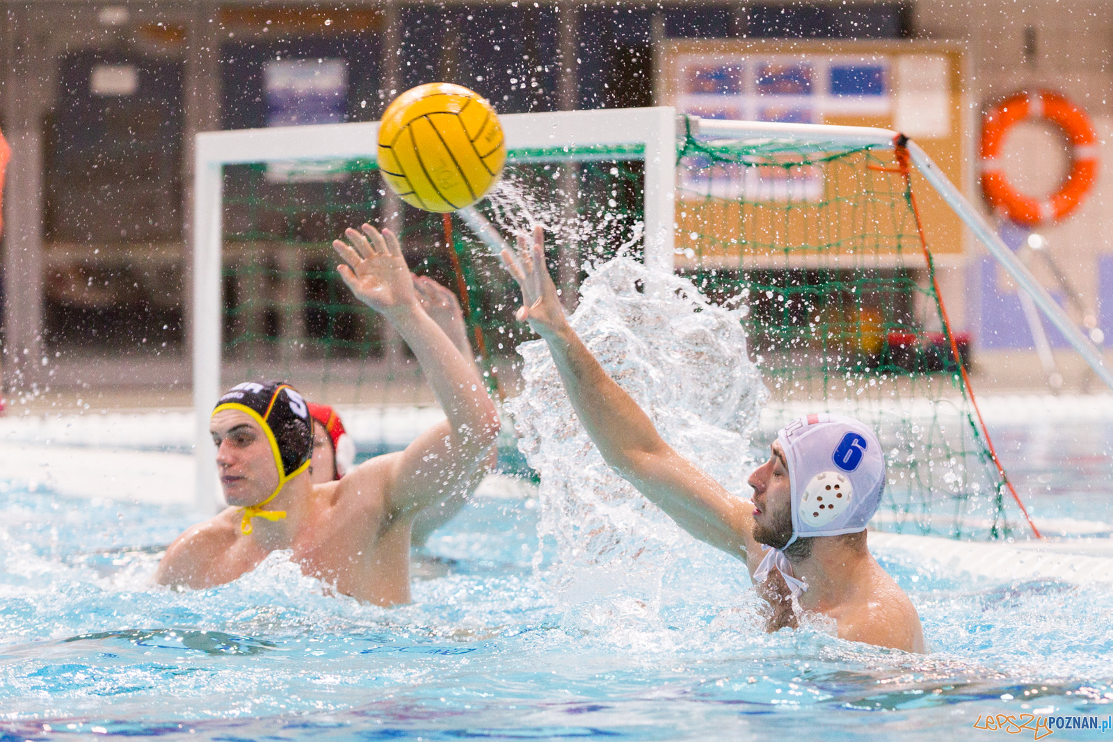 Mecz Polska - Niemcy - Eliminacje Mistrzostw Europy Foto: lepszyPOZNAN.pl/Piotr Rychter Mecz Polska - Niemcy - Eliminacje Mistrzostw Europy Foto: lepszyPOZNAN.pl/Piotr Rychter