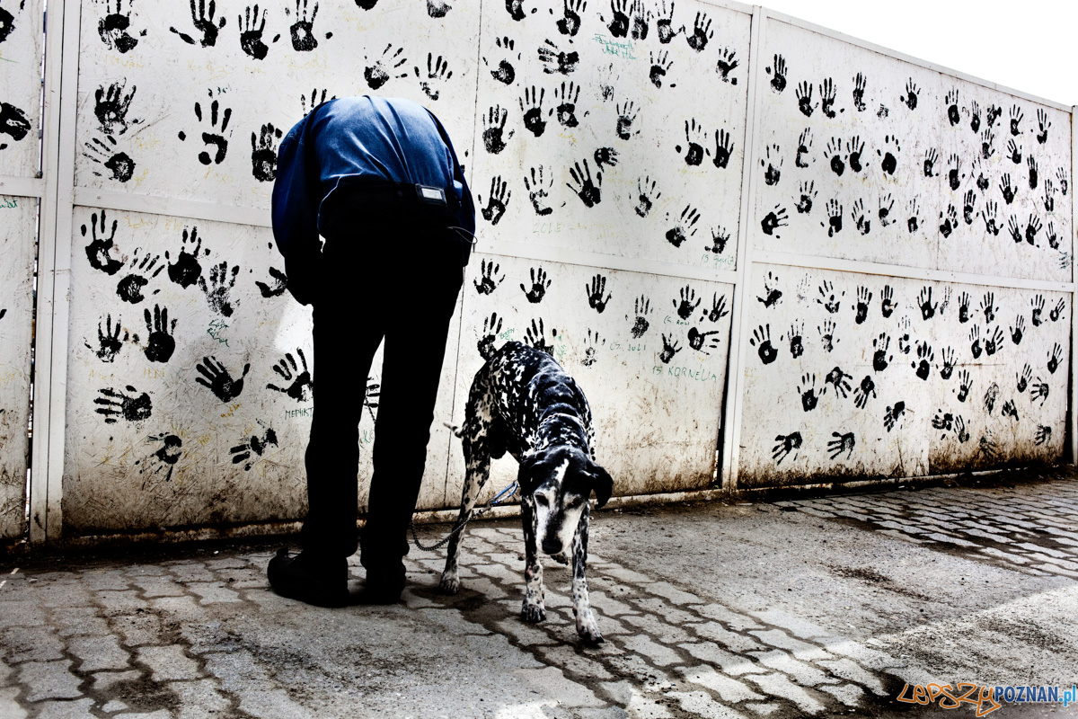 Lukas Vasilikos Foto: Lukas Vasilikos Lukas Vasilikos Foto: Lukas Vasilikos