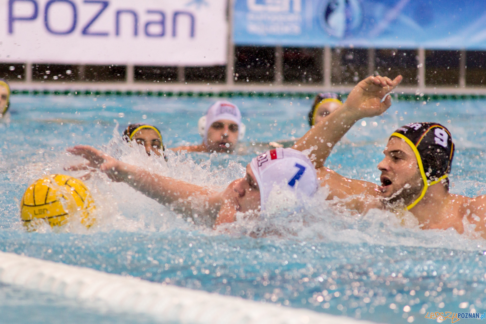 Mecz Polska - Niemcy - Eliminacje Mistrzostw Europy Foto: lepszyPOZNAN.pl / Ewelina Jaskowiak Mecz Polska - Niemcy - Eliminacje Mistrzostw Europy Foto: lepszyPOZNAN.pl / Ewelina Jaskowiak